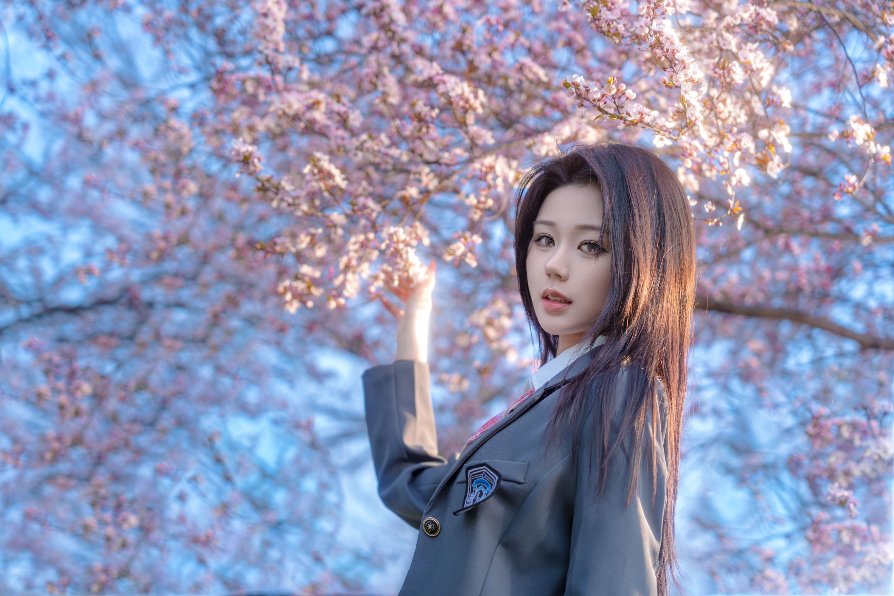 pig - 《樱花树下》[9P] 插图2