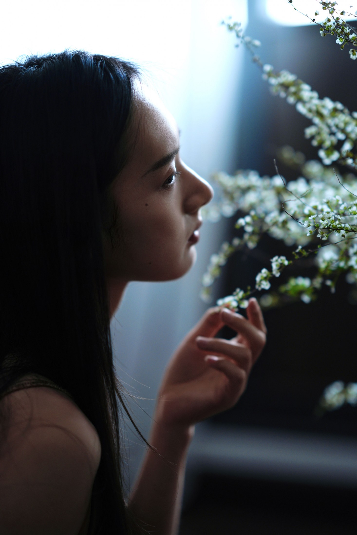 方休。 - 《暗调雪柳情绪大片｜于暗处生长》[9P] 插图2