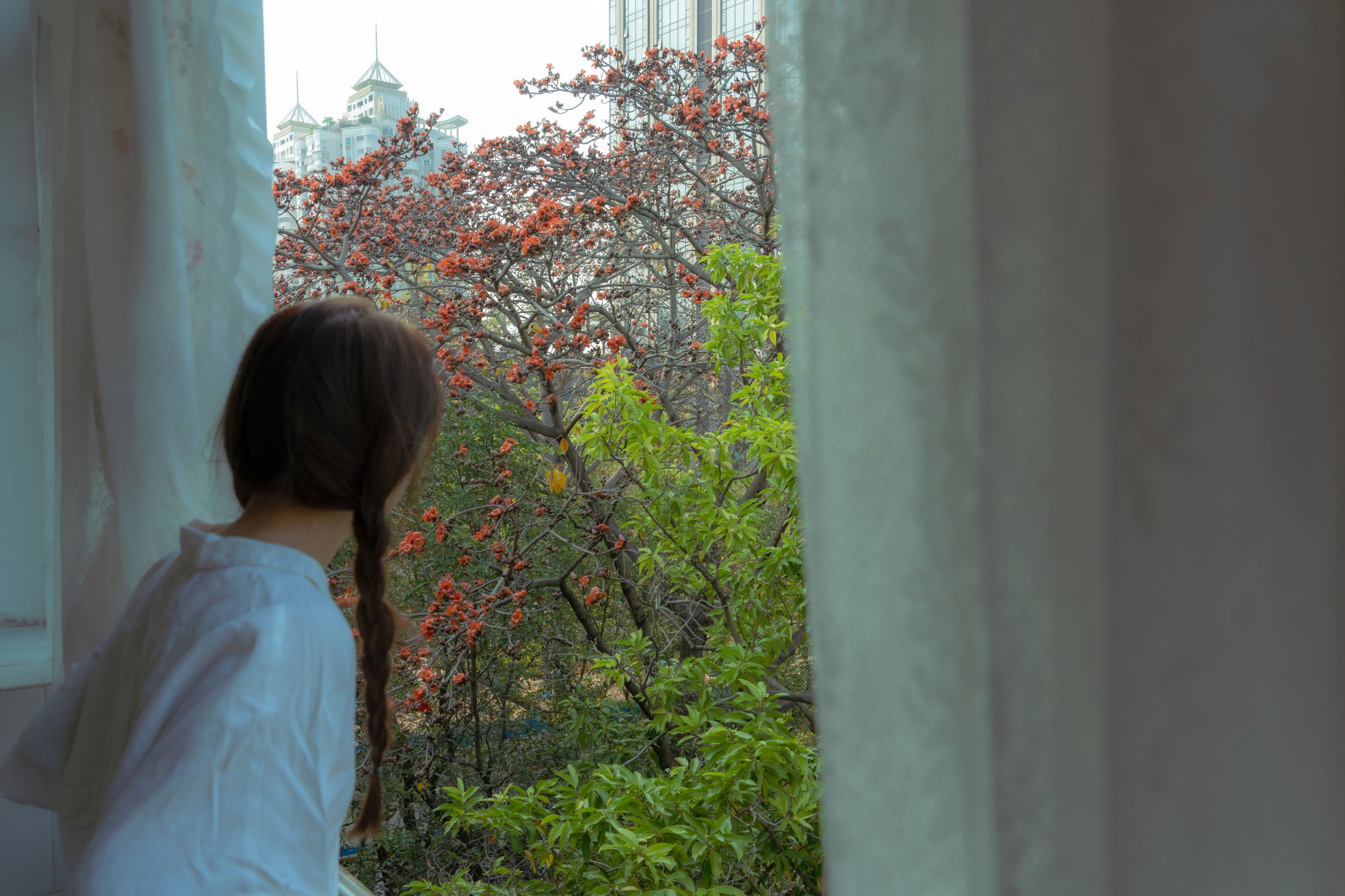 菜菜 - 《老房子旁边有一颗木棉树》[23P] 插图2