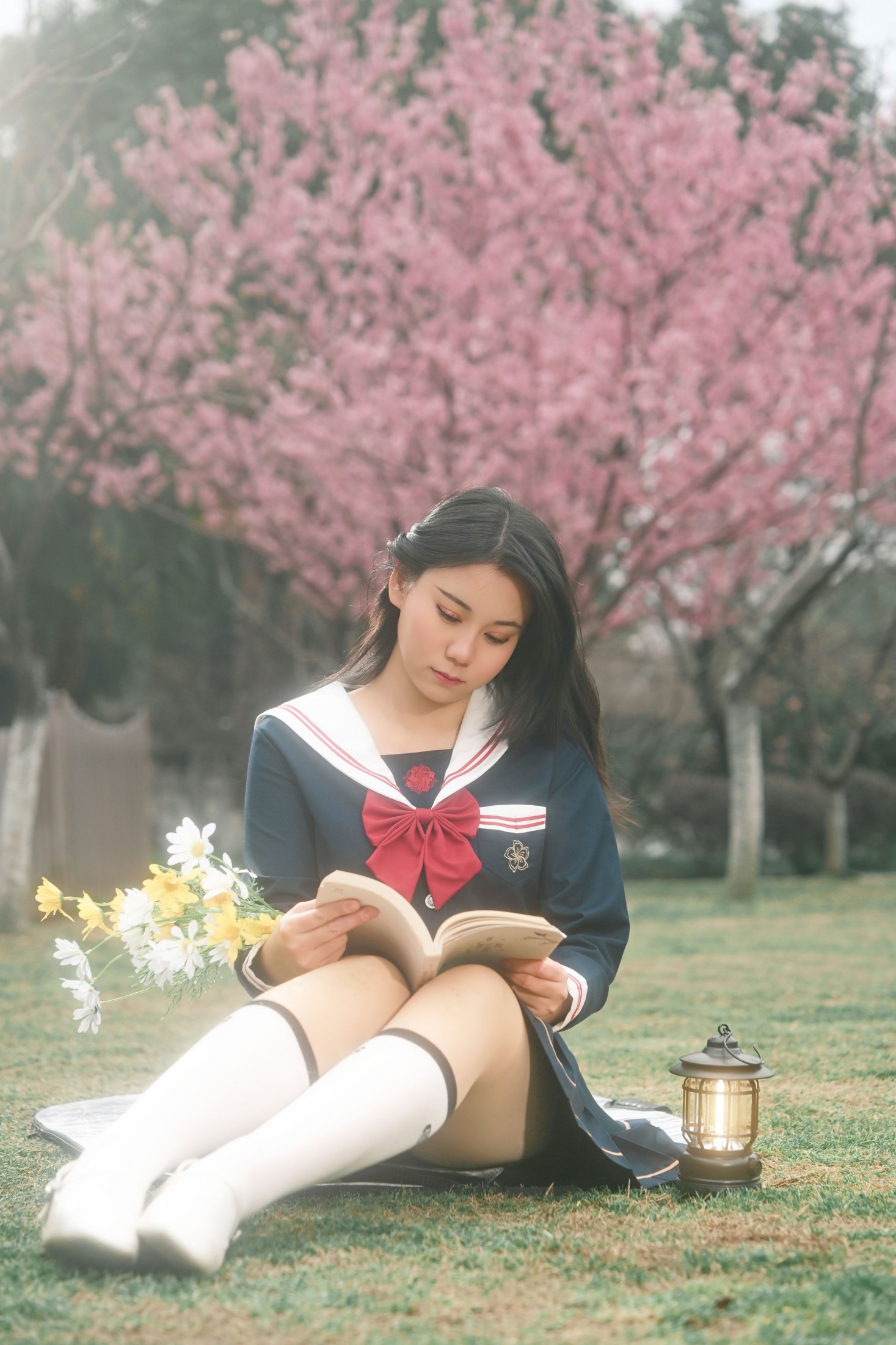 《春信，已送达》[9P] 插图2