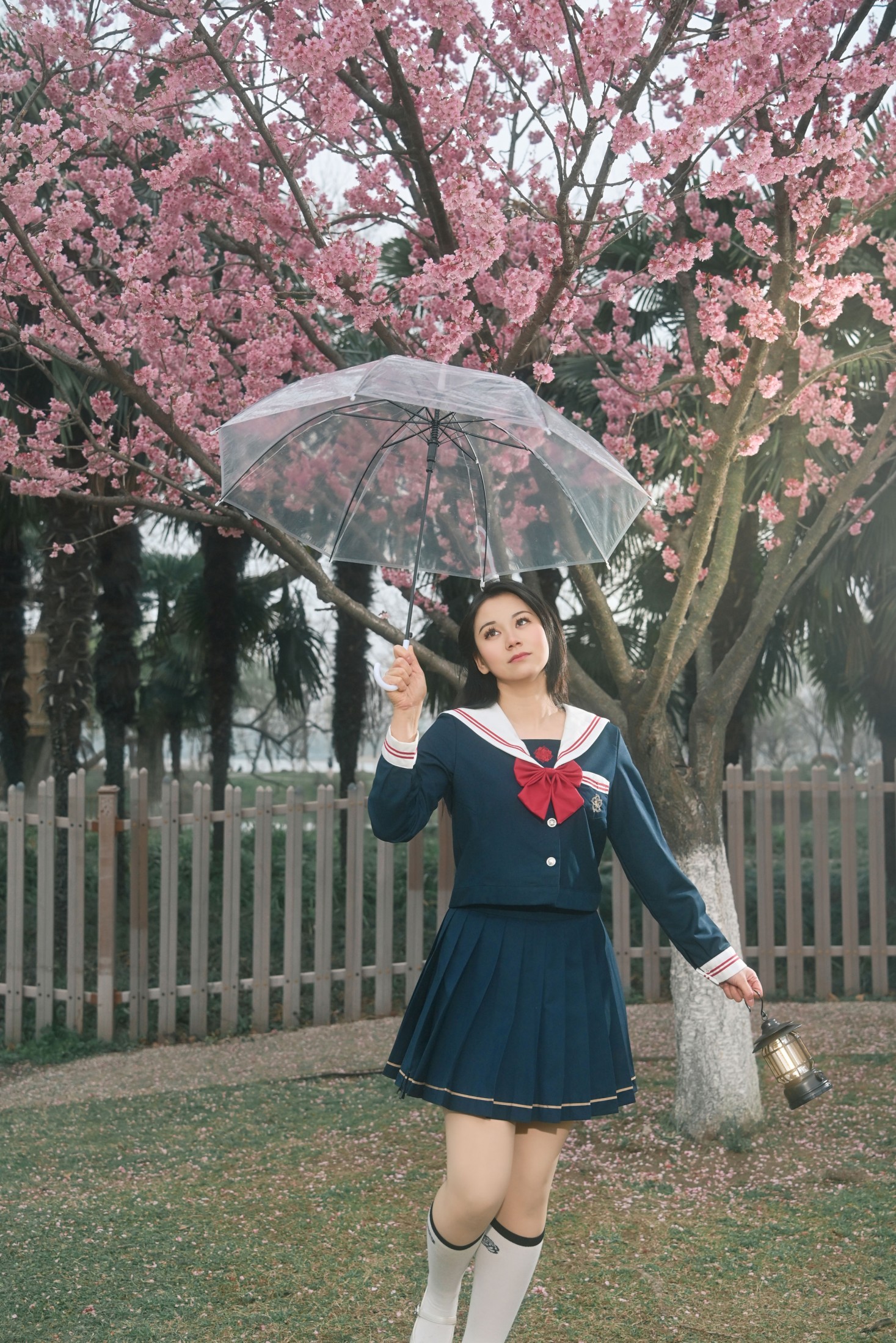 《春信，已送达》[9P] 插图5