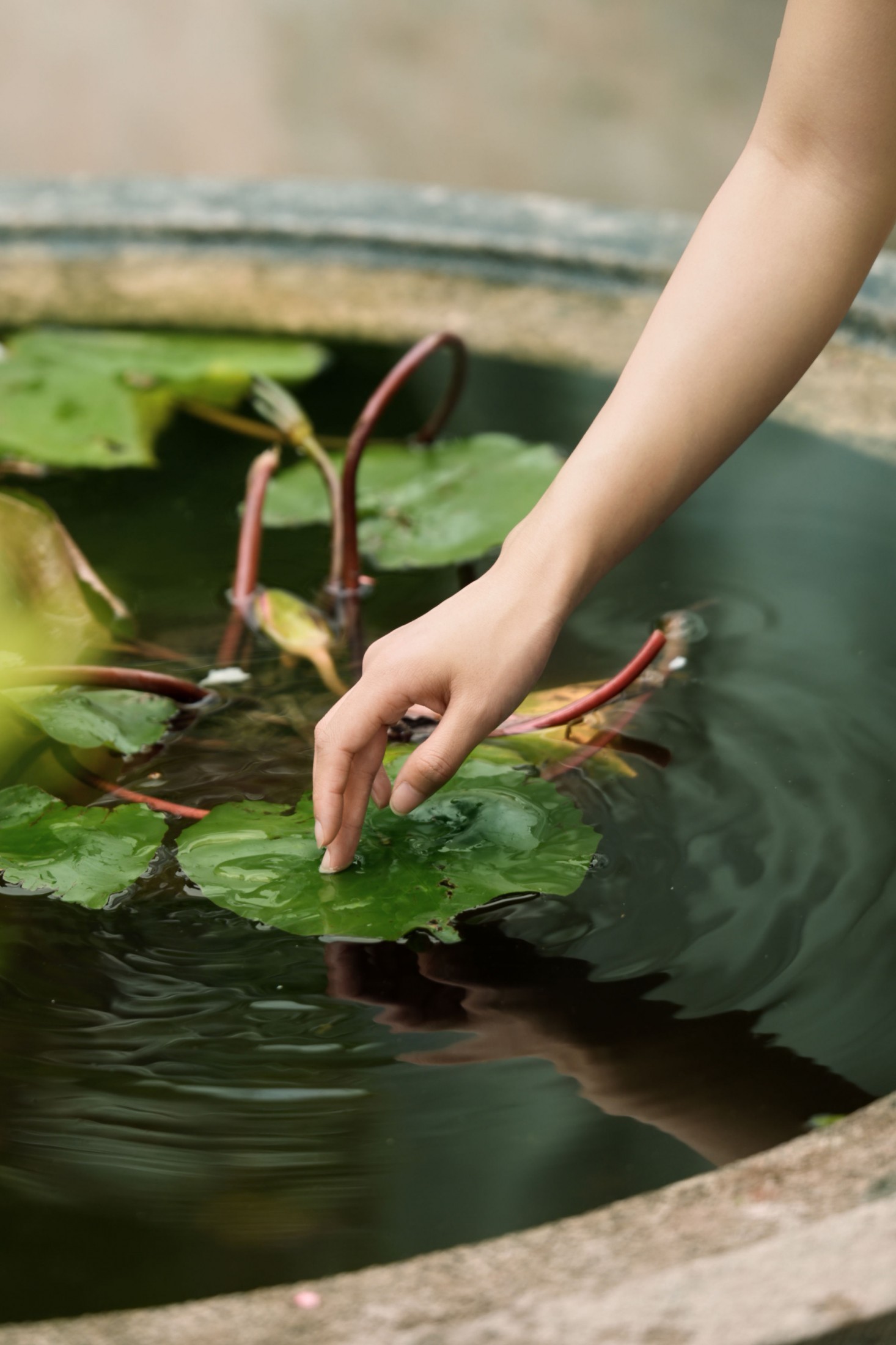 《森系+法式的烂漫少女》[23P] 插图3