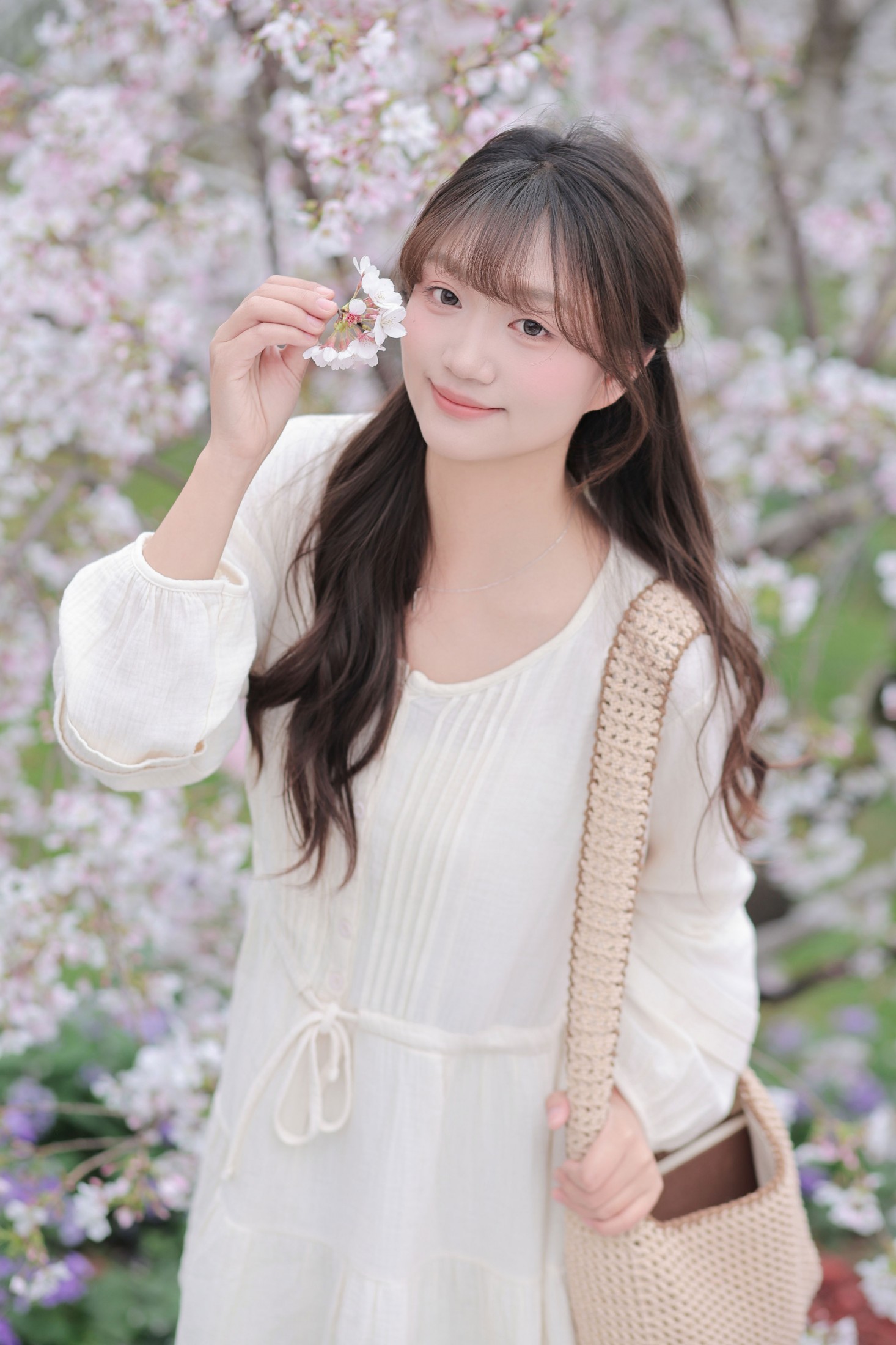 《春日樱花》[16P] 插图2