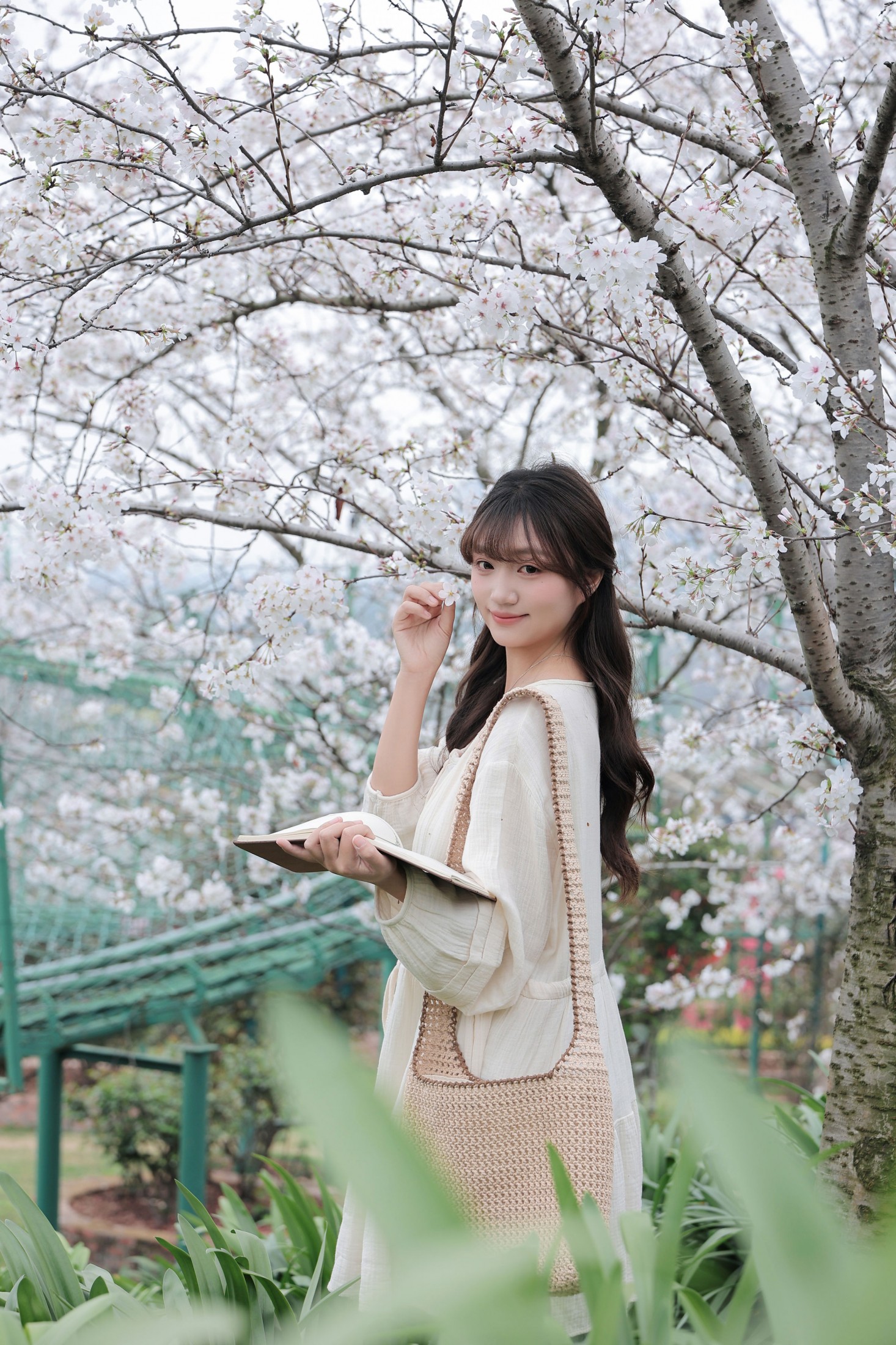 《春日樱花》[16P] 插图5