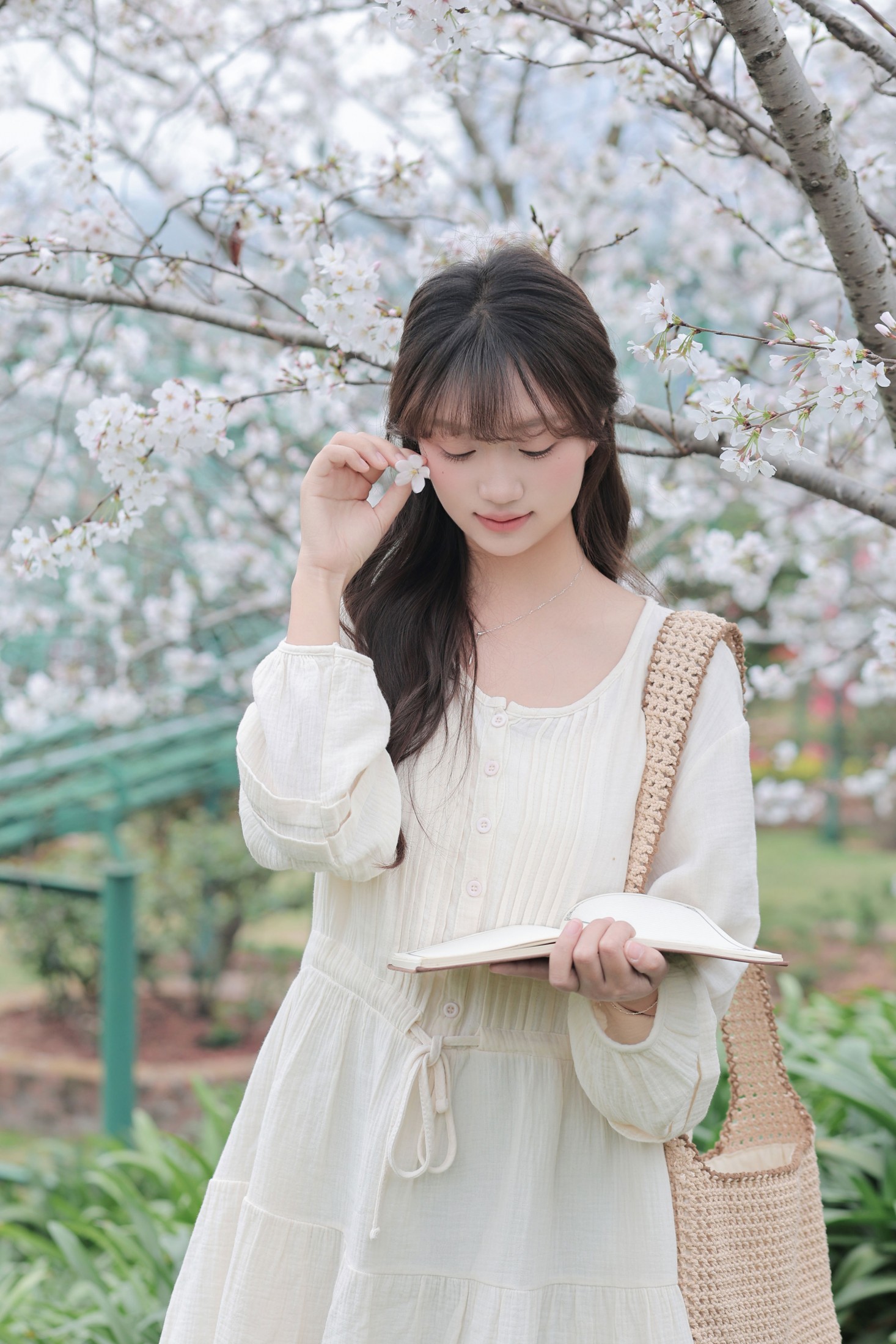 《春日樱花》[16P] 插图4
