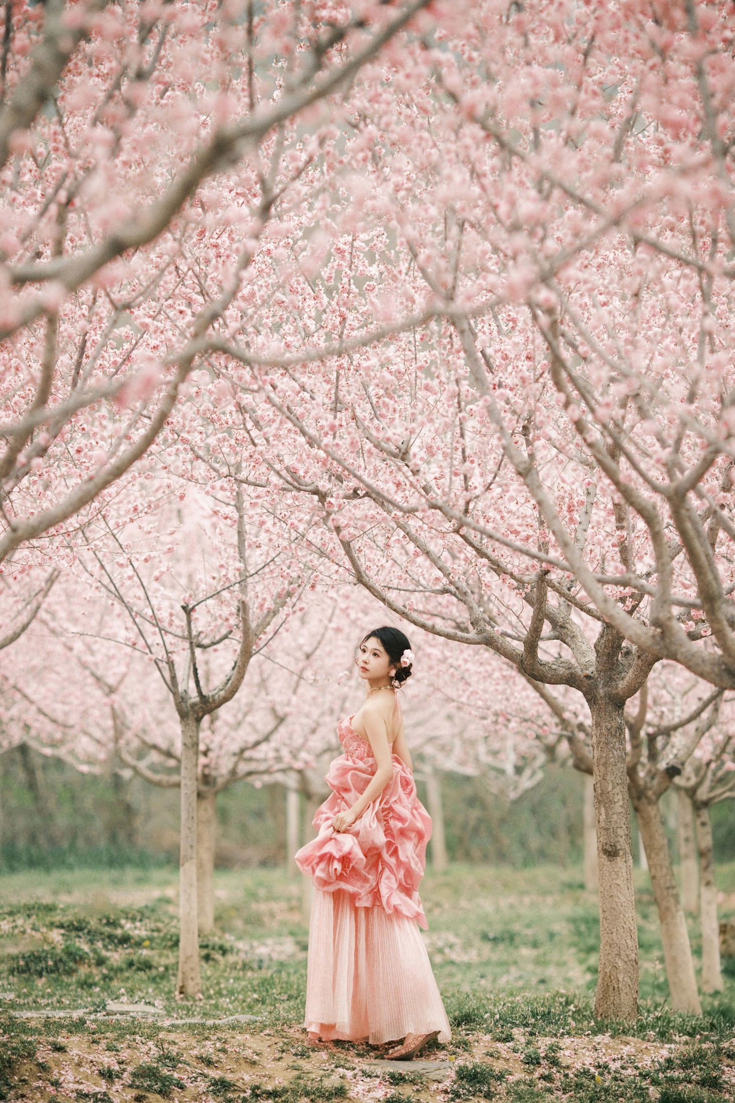 《花漾甜梦》[24P] 插图4