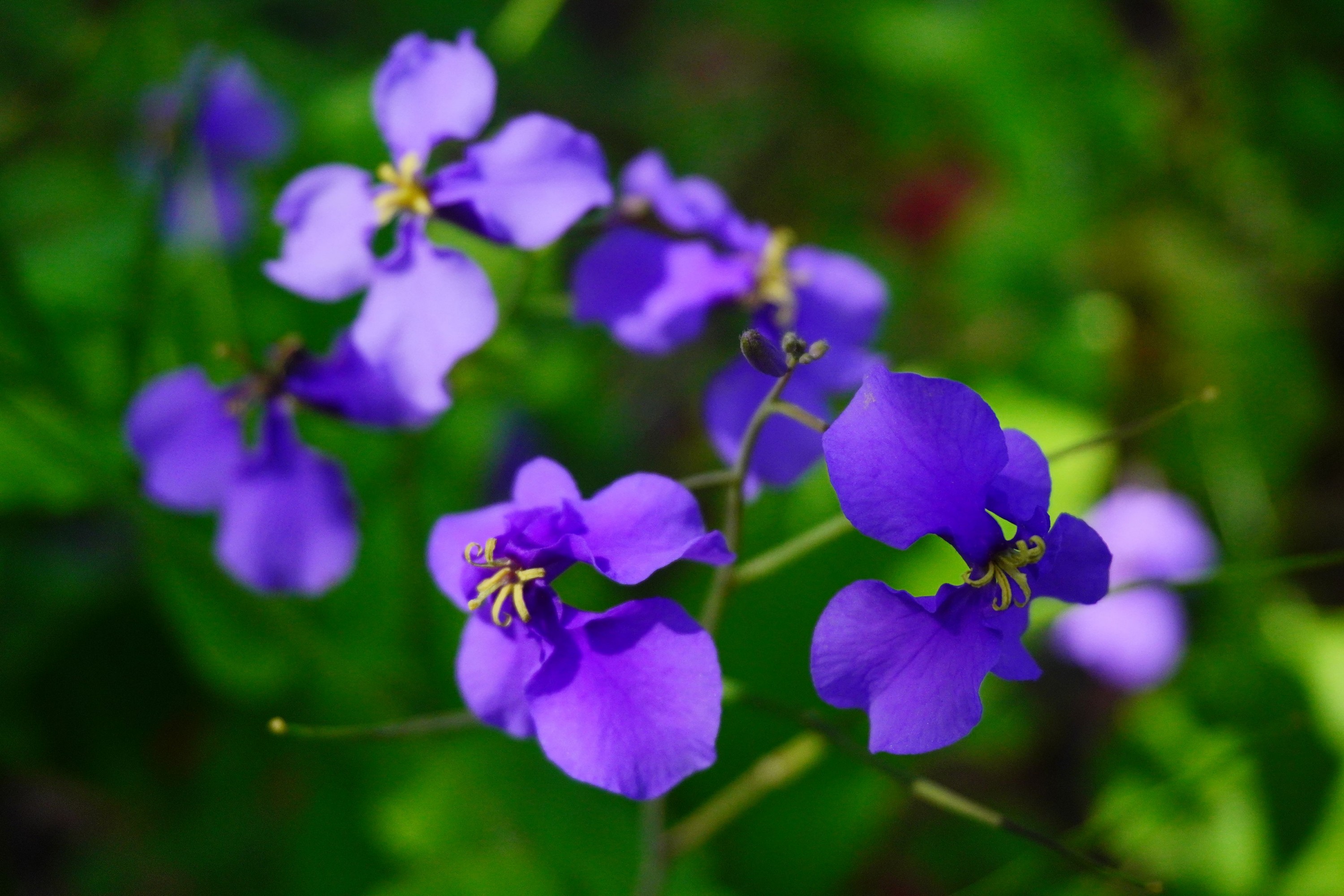 《冬天之美》[11P]-66COS