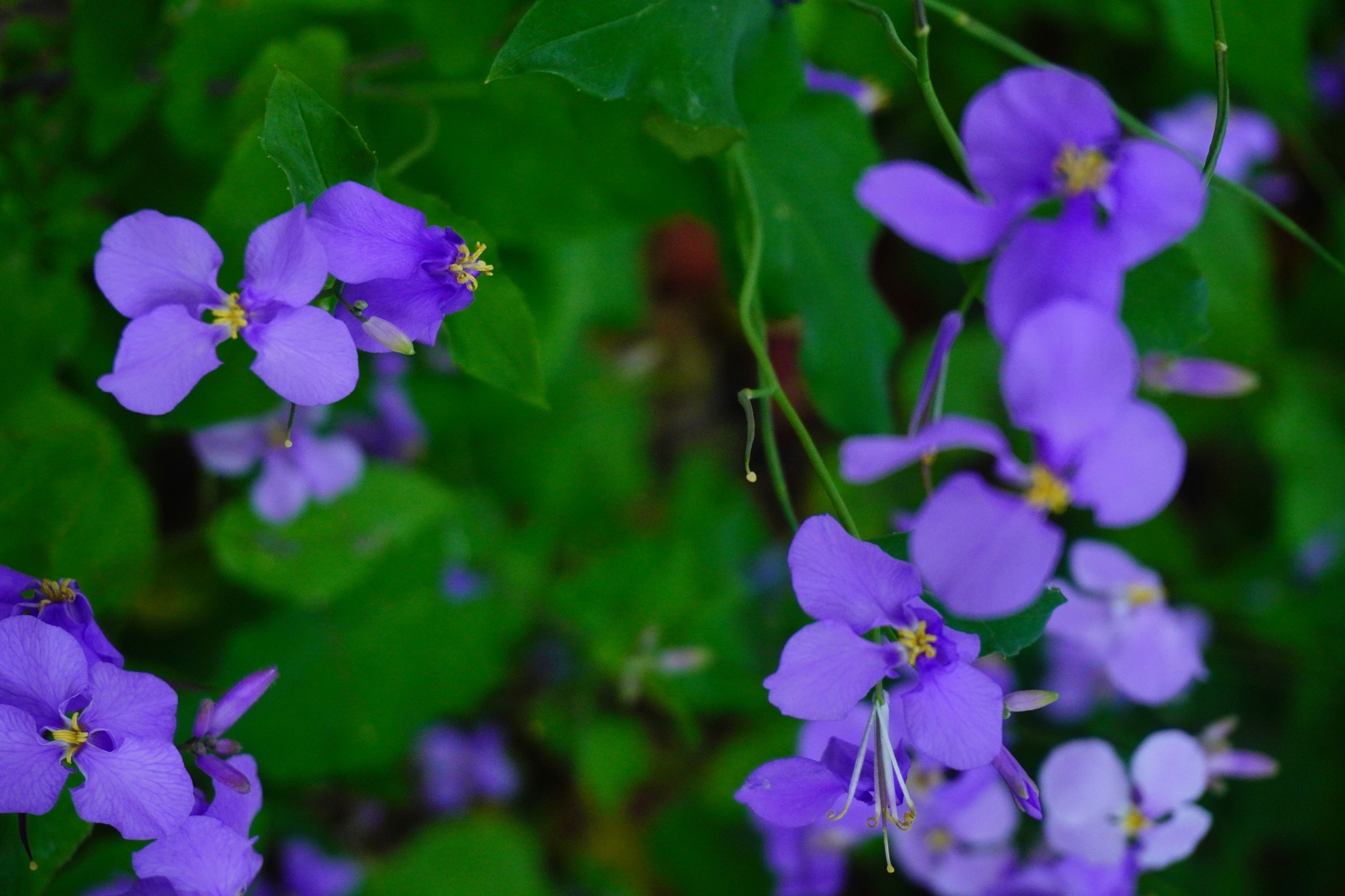 《冬天之美》[11P] 插图5