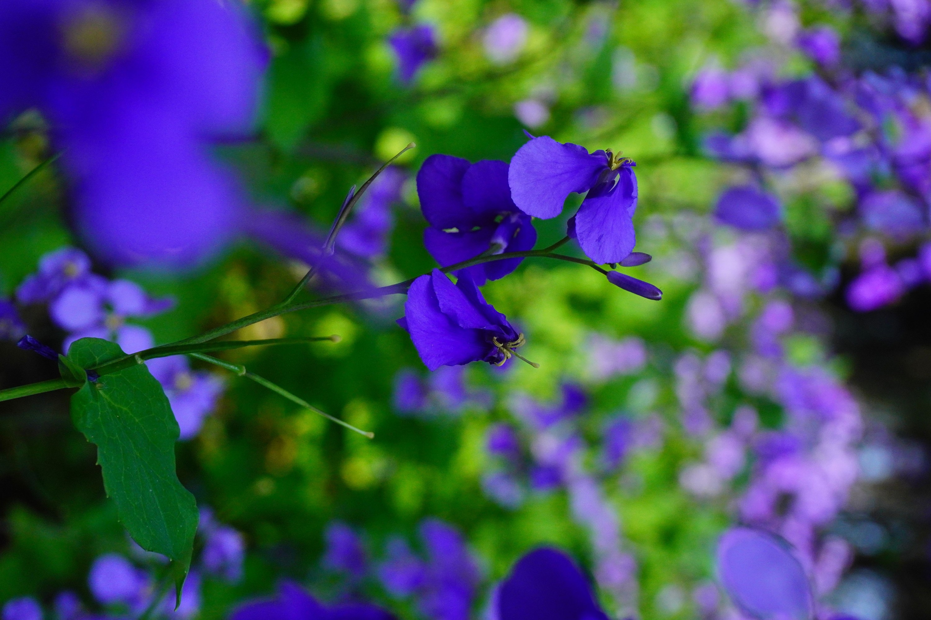 《冬天之美》[11P] 插图3