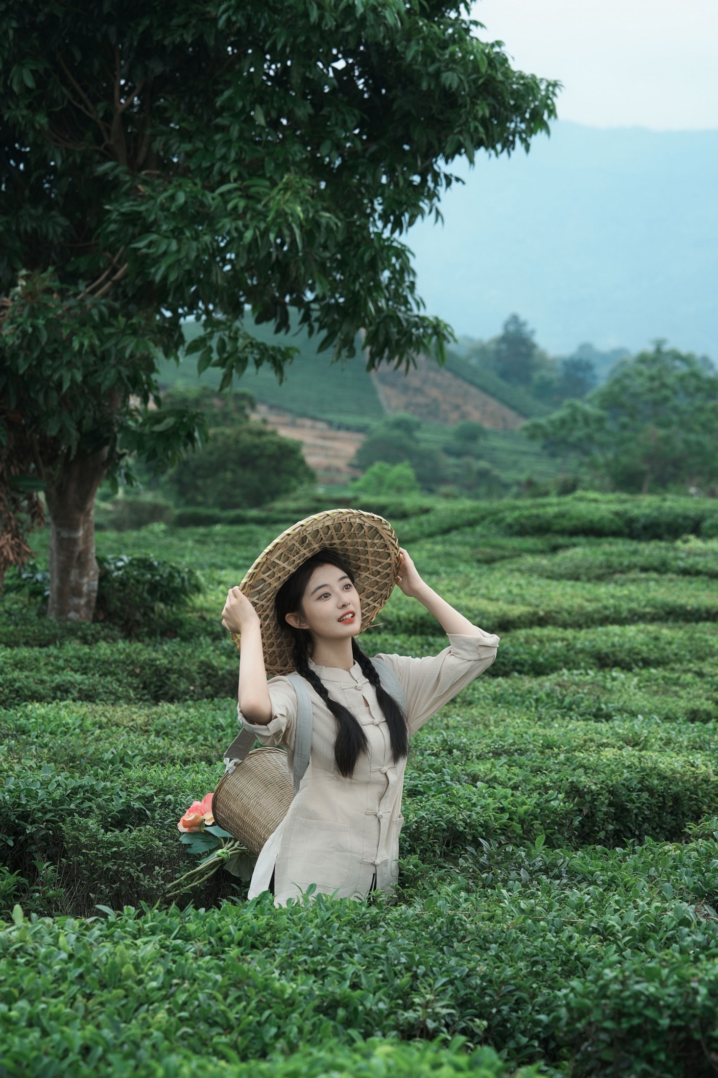 《采茶纪｜把春天，揉进一捧新茶里》[23P] 插图3