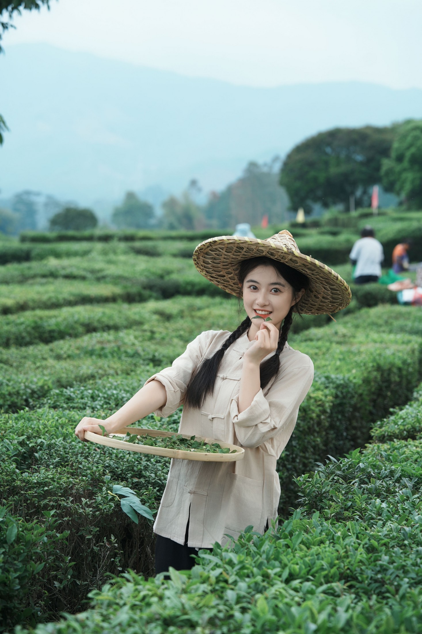 《采茶纪｜把春天，揉进一捧新茶里》[23P] 插图5