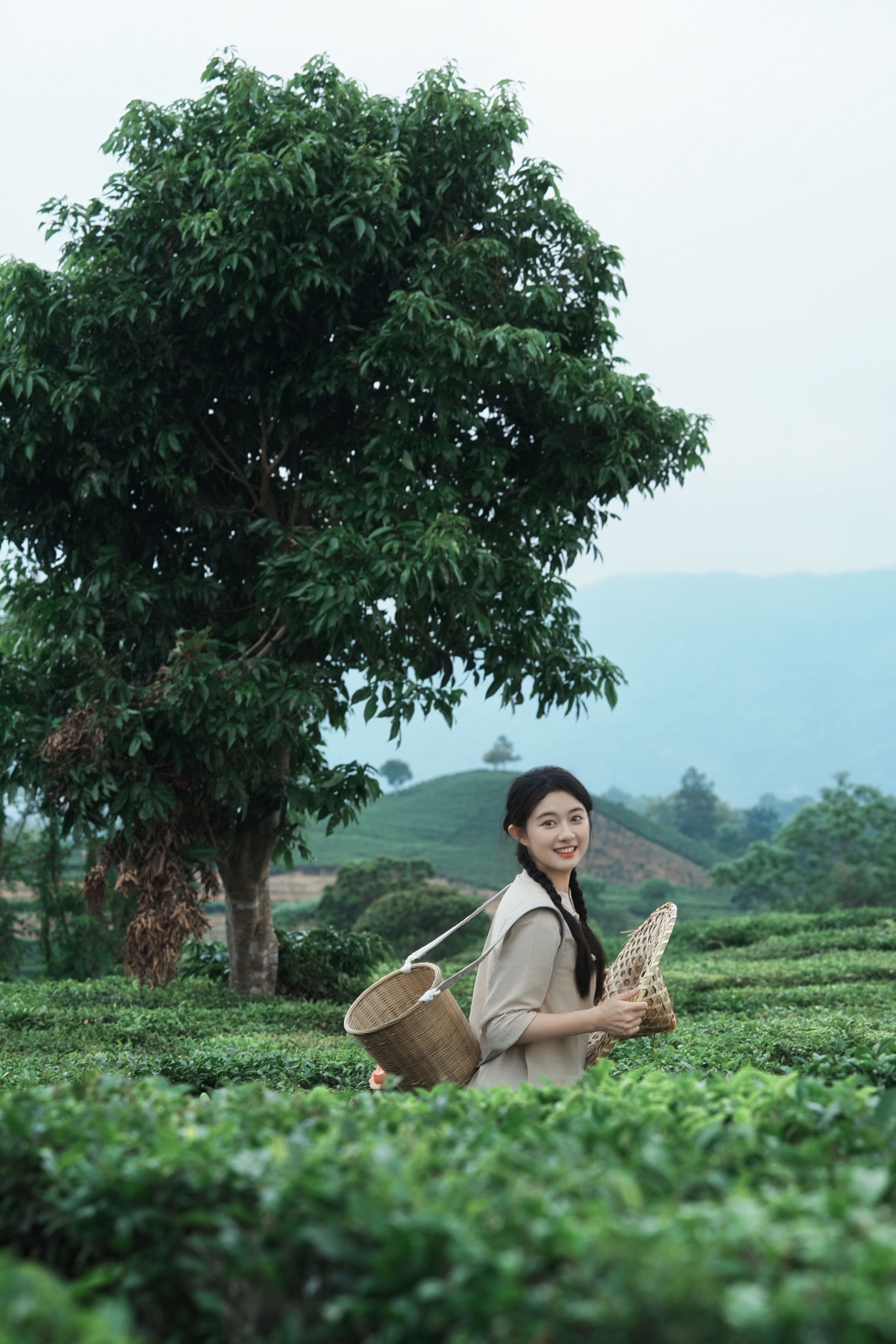 《采茶纪｜把春天，揉进一捧新茶里》[23P] 插图2