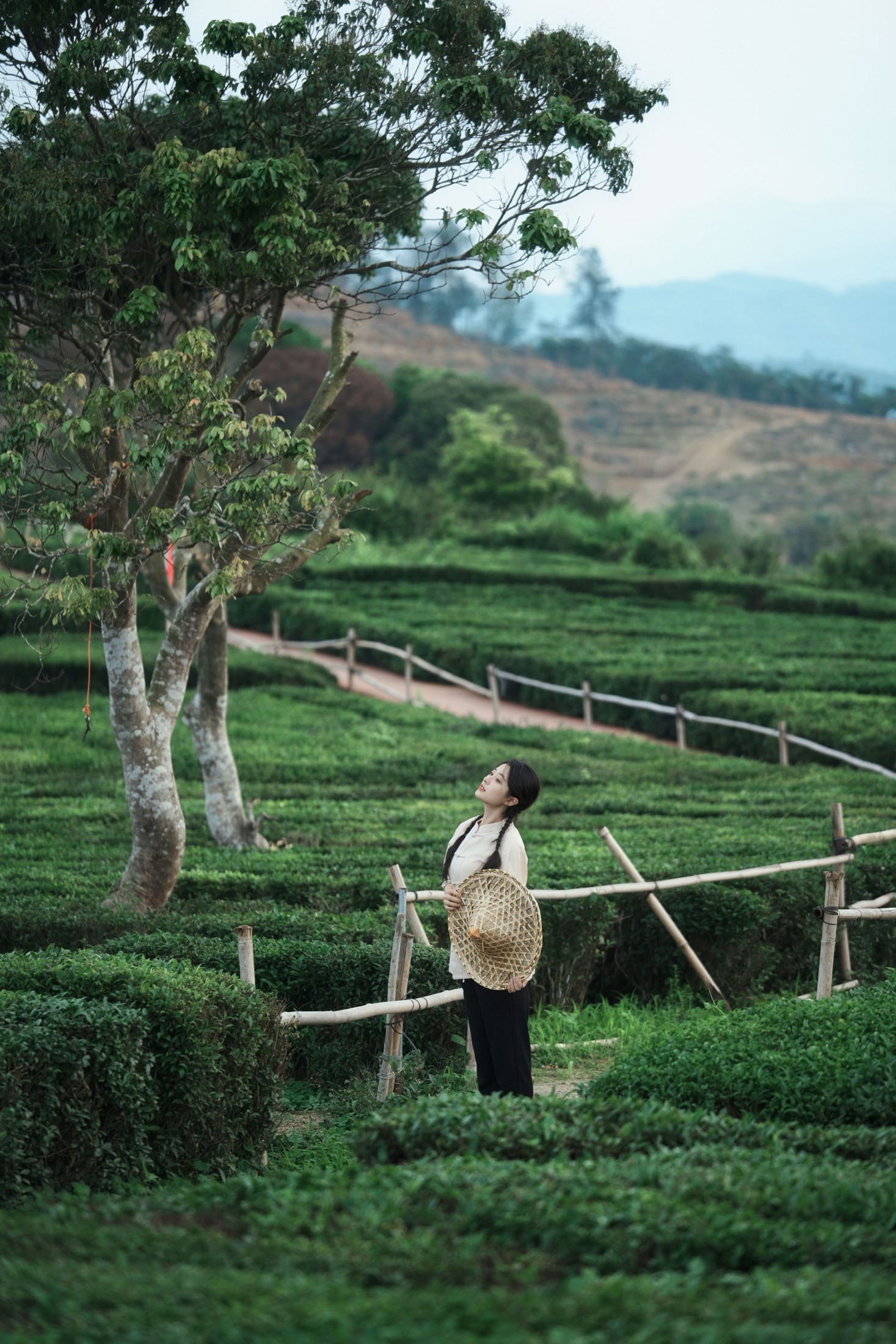 《采茶纪｜把春天，揉进一捧新茶里》[23P]-66COS