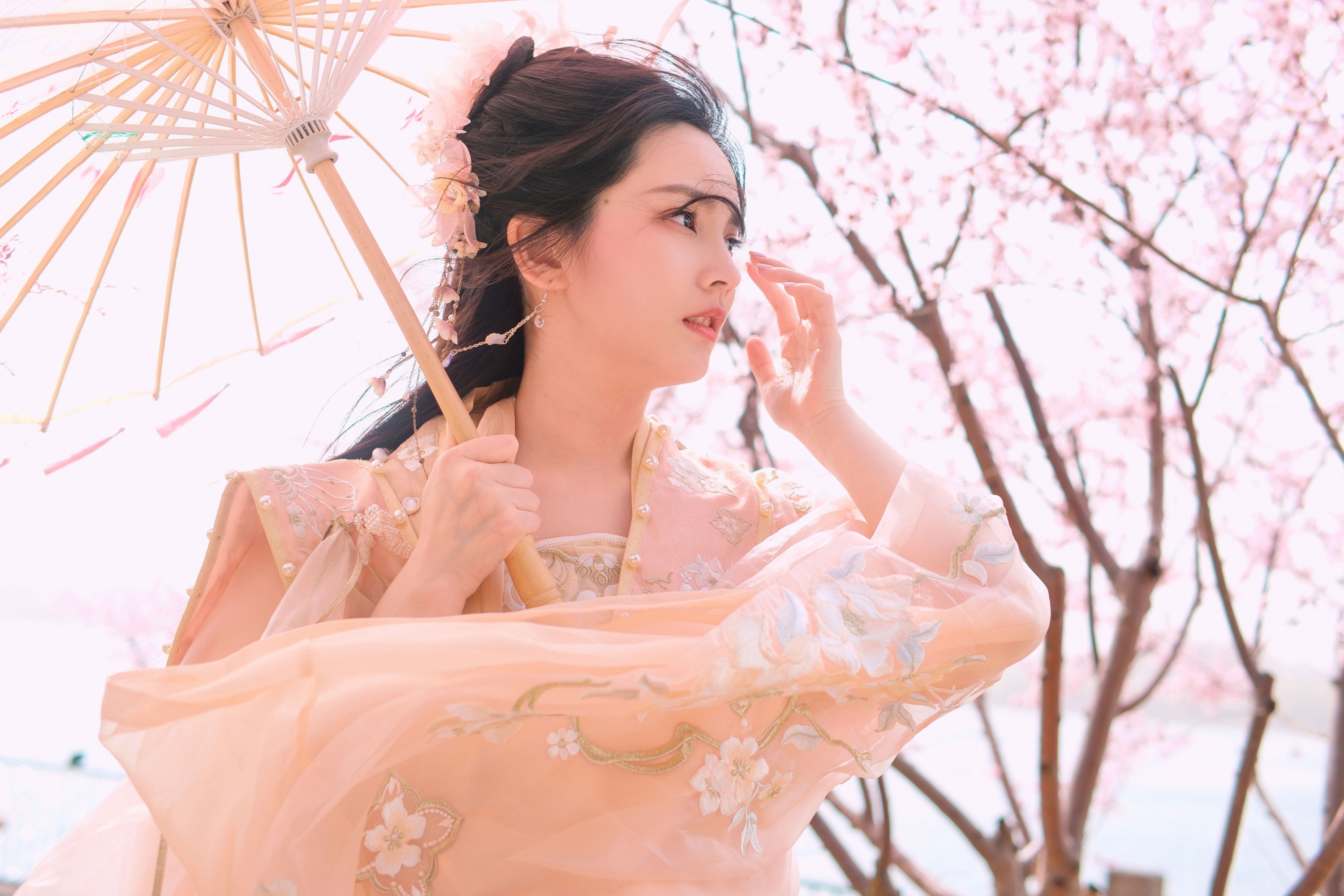 《春风沉醉不展愁眉》[25P]-66COS