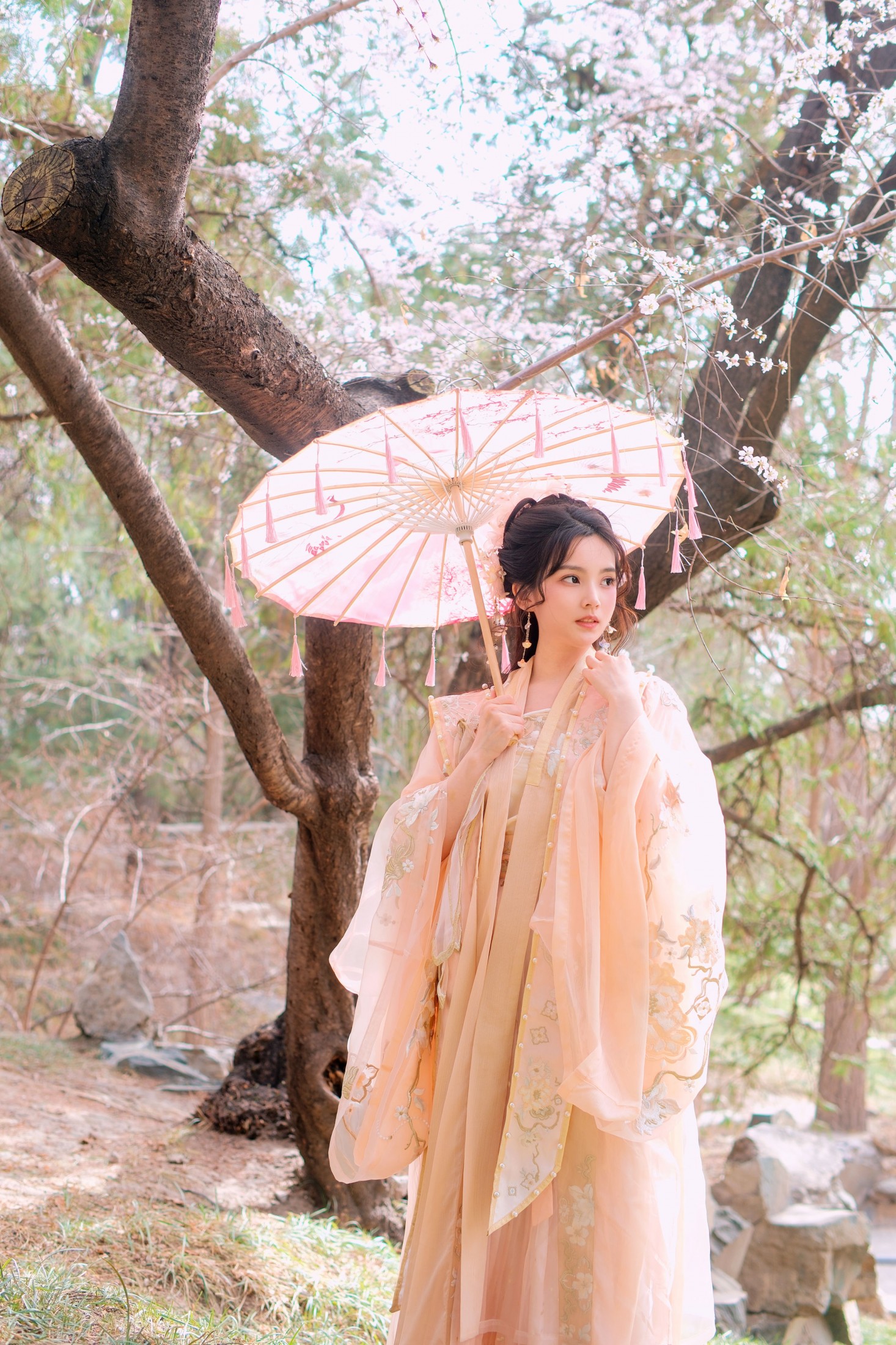 《春风沉醉不展愁眉》[25P] 插图3