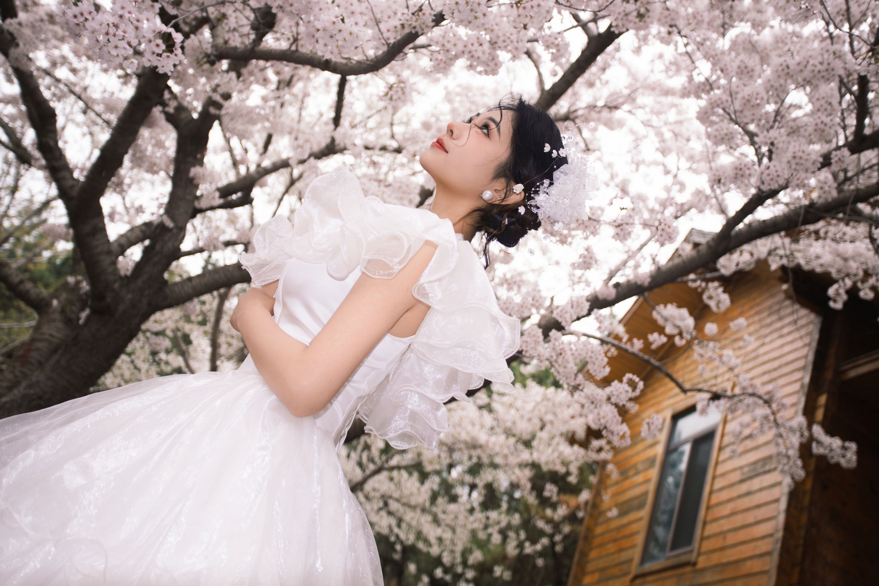 《春日樱之曲》[22P]-66COS