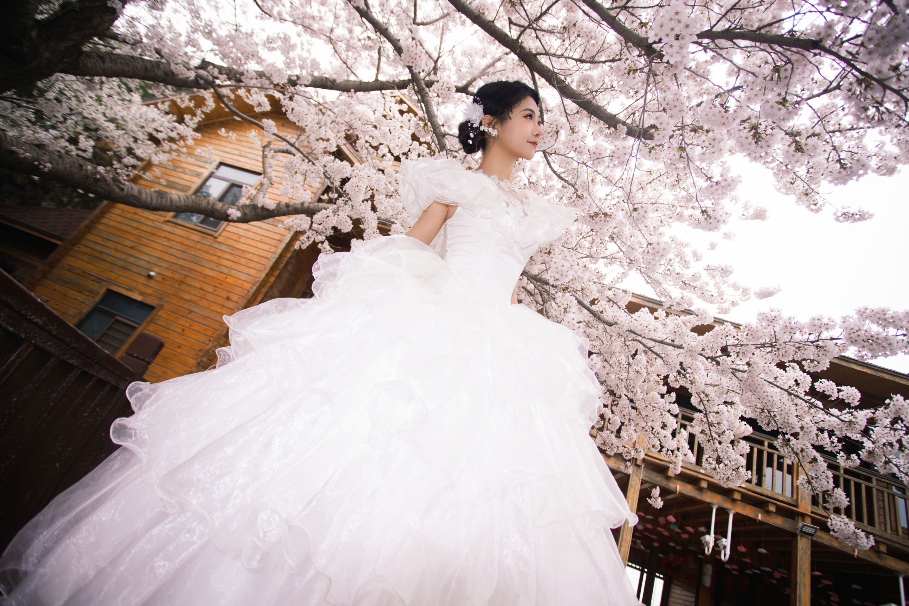 《春日樱之曲》[22P] 插图5