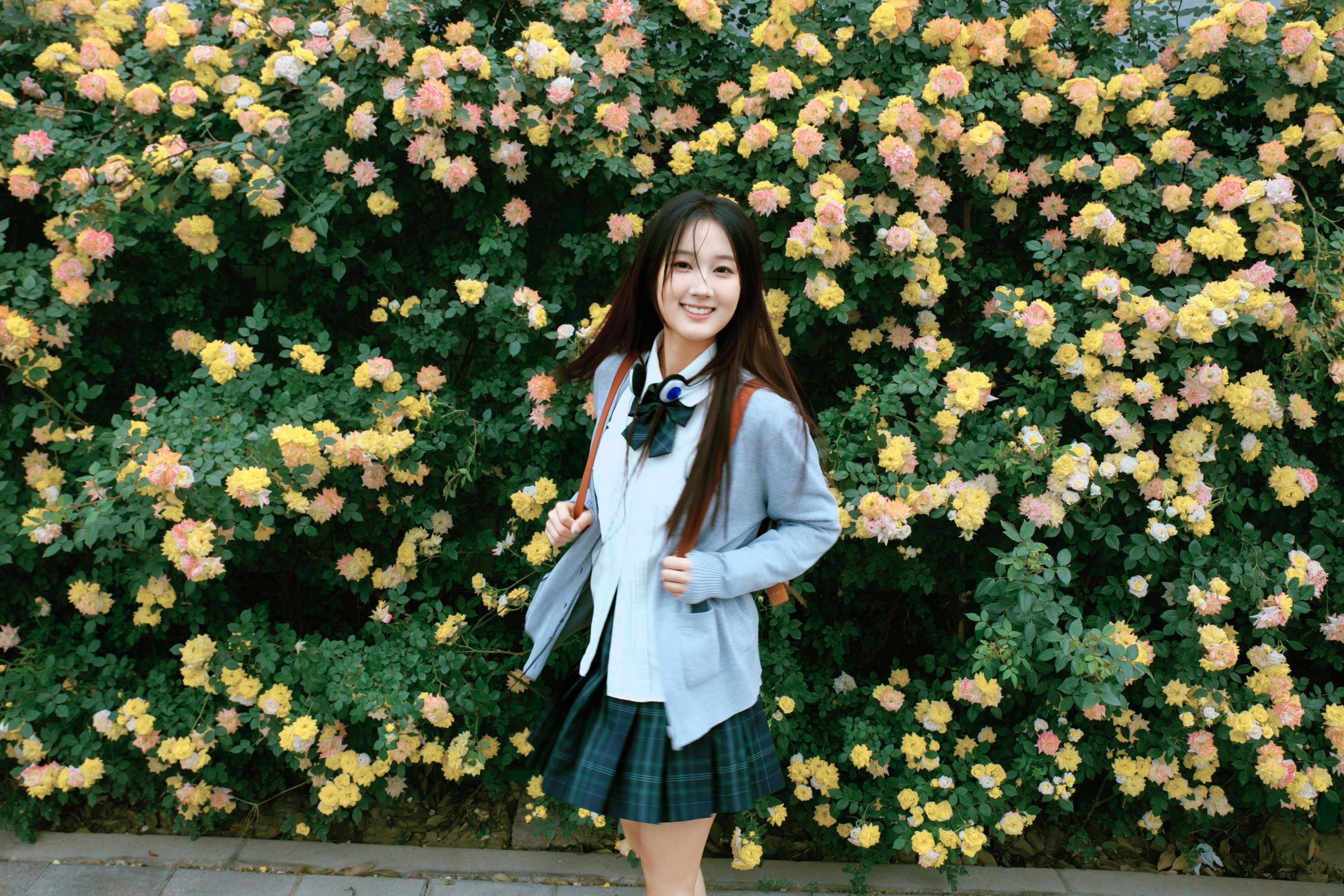 《蔷薇少女》[27P] 插图4