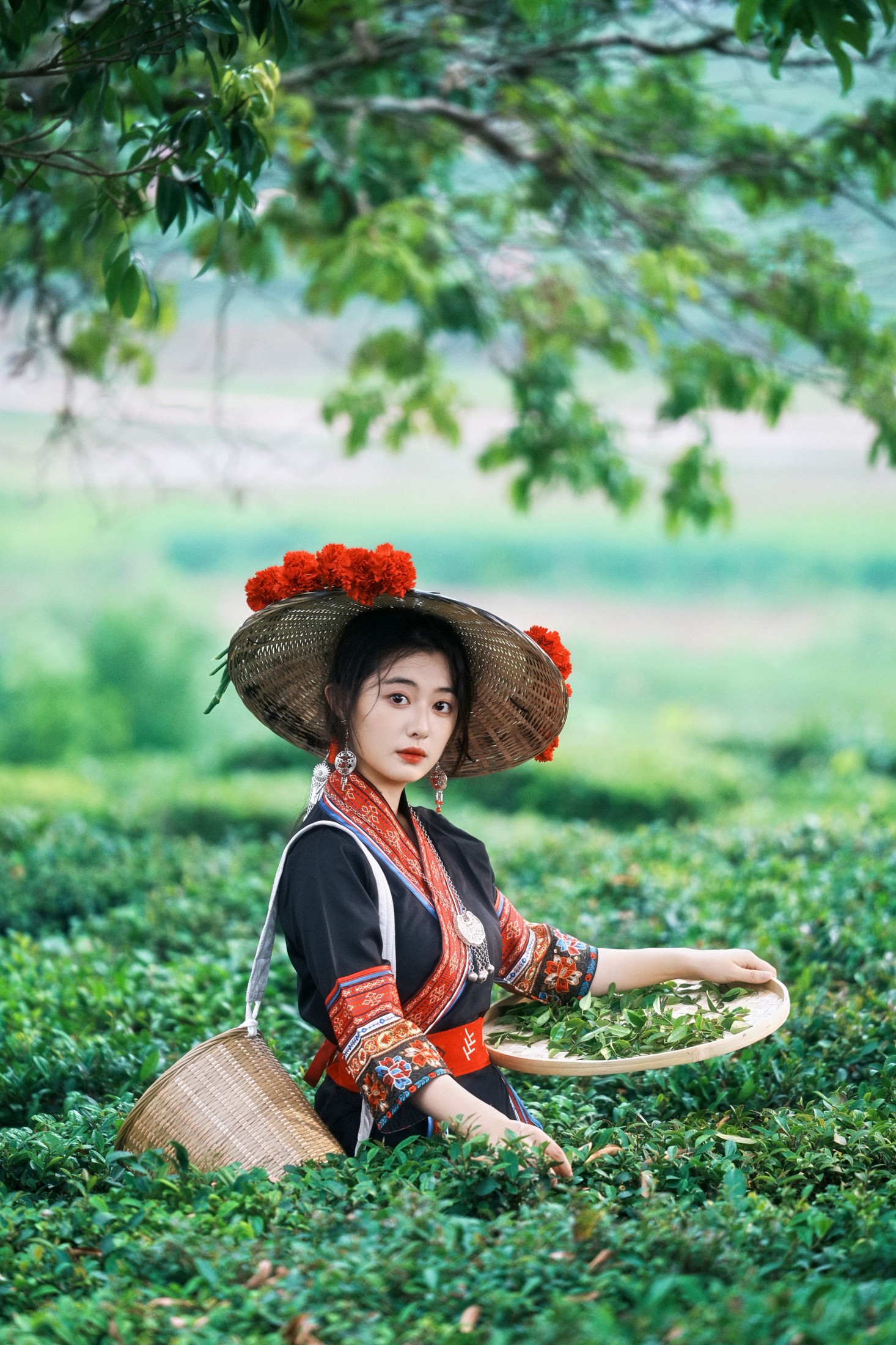 《当畲族的黑红撞色，遇上万亩茶园的青绿。》[26P] 插图4