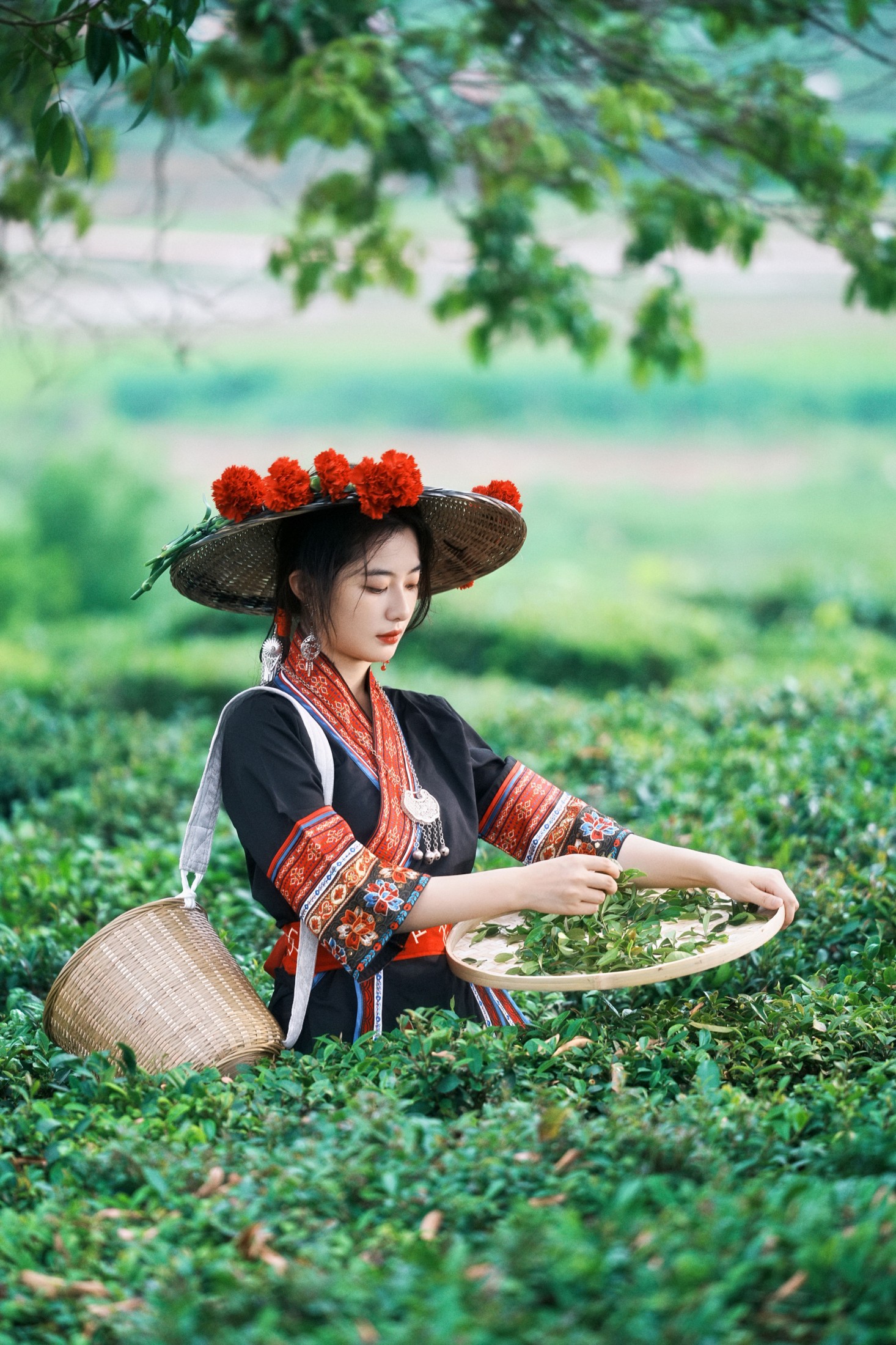 《当畲族的黑红撞色，遇上万亩茶园的青绿。》[26P] 插图3