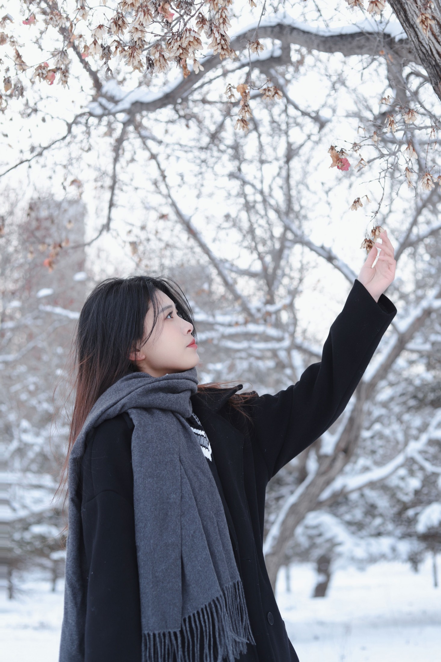 《白雪中的你》[9P] 插图2