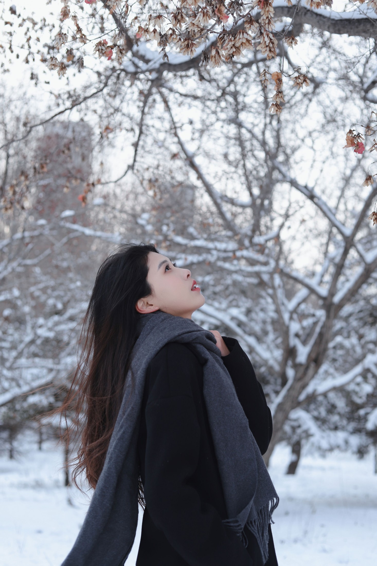 《白雪中的你》[9P] 插图3