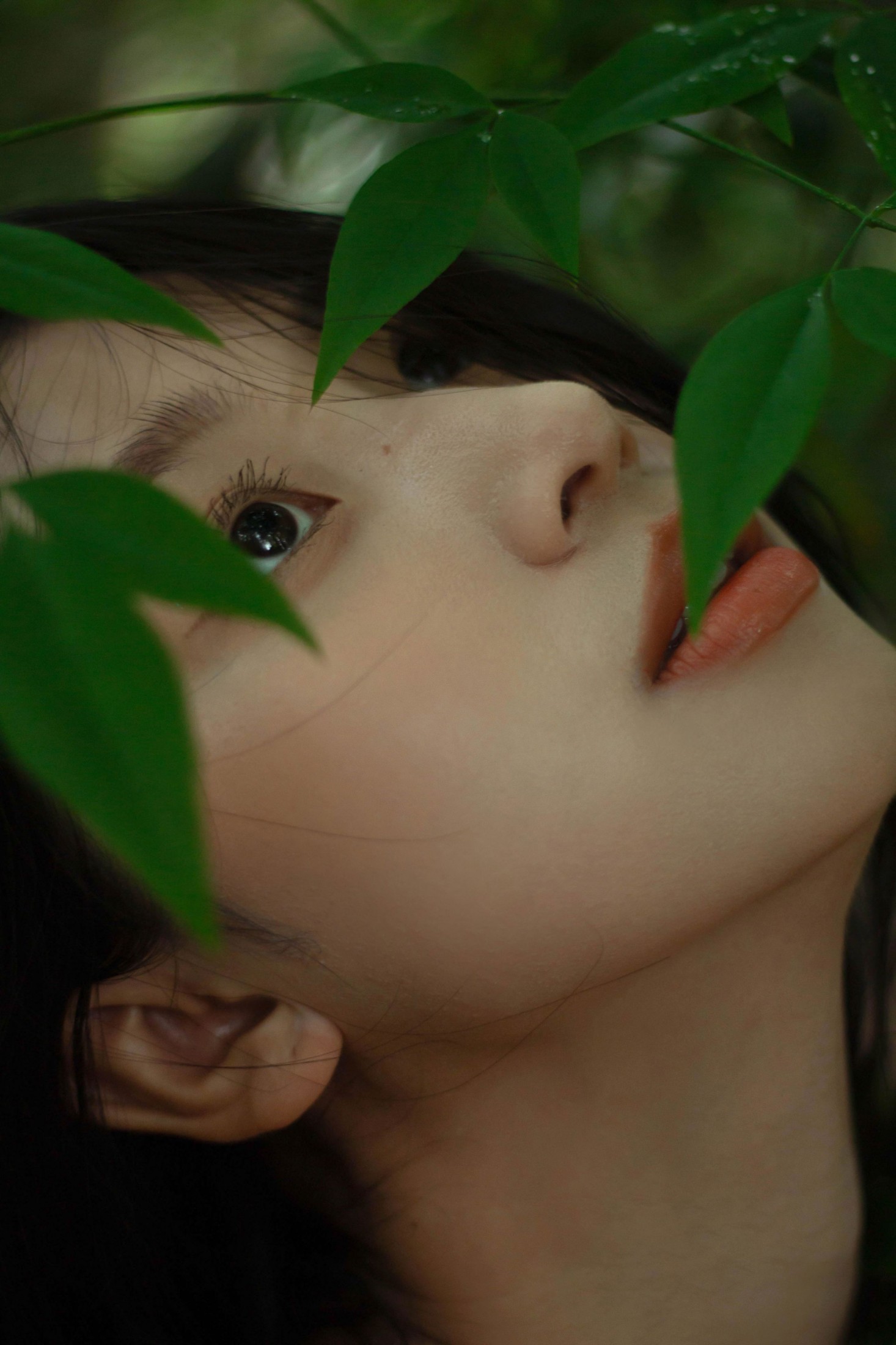 《像植物一样呼吸》[25P] 插图2