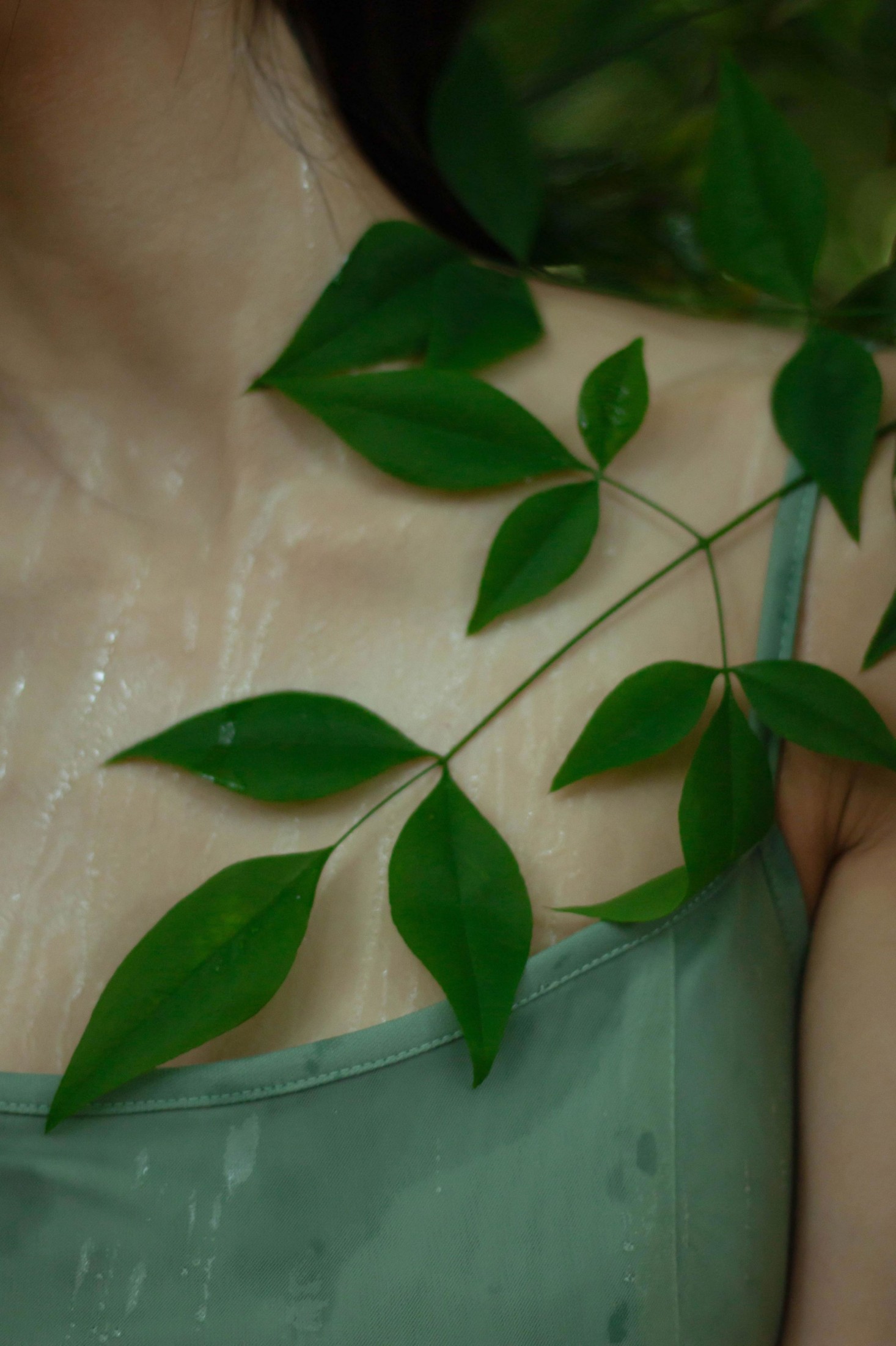 《像植物一样呼吸》[25P]-66COS