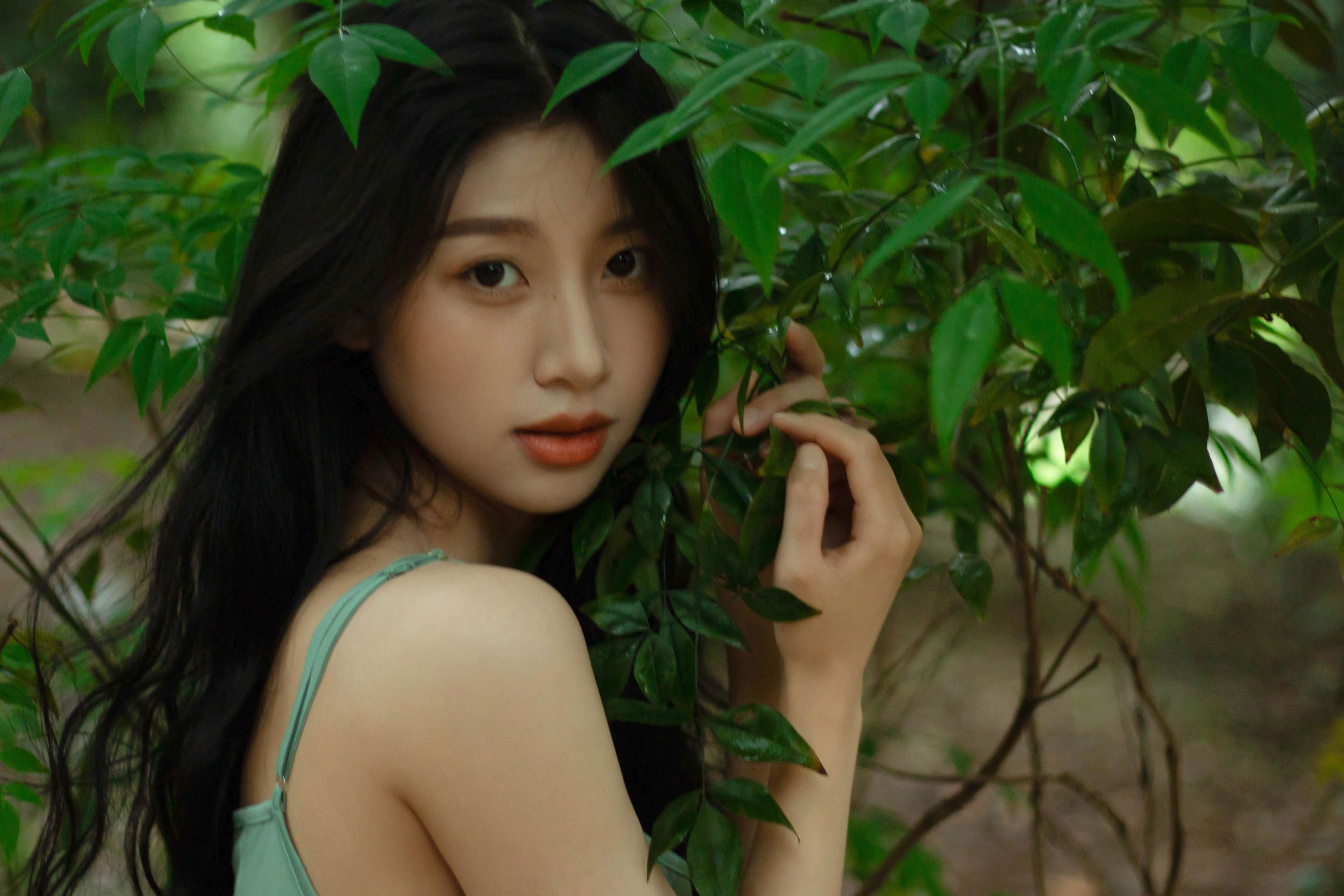 《像植物一样呼吸》[25P] 插图4