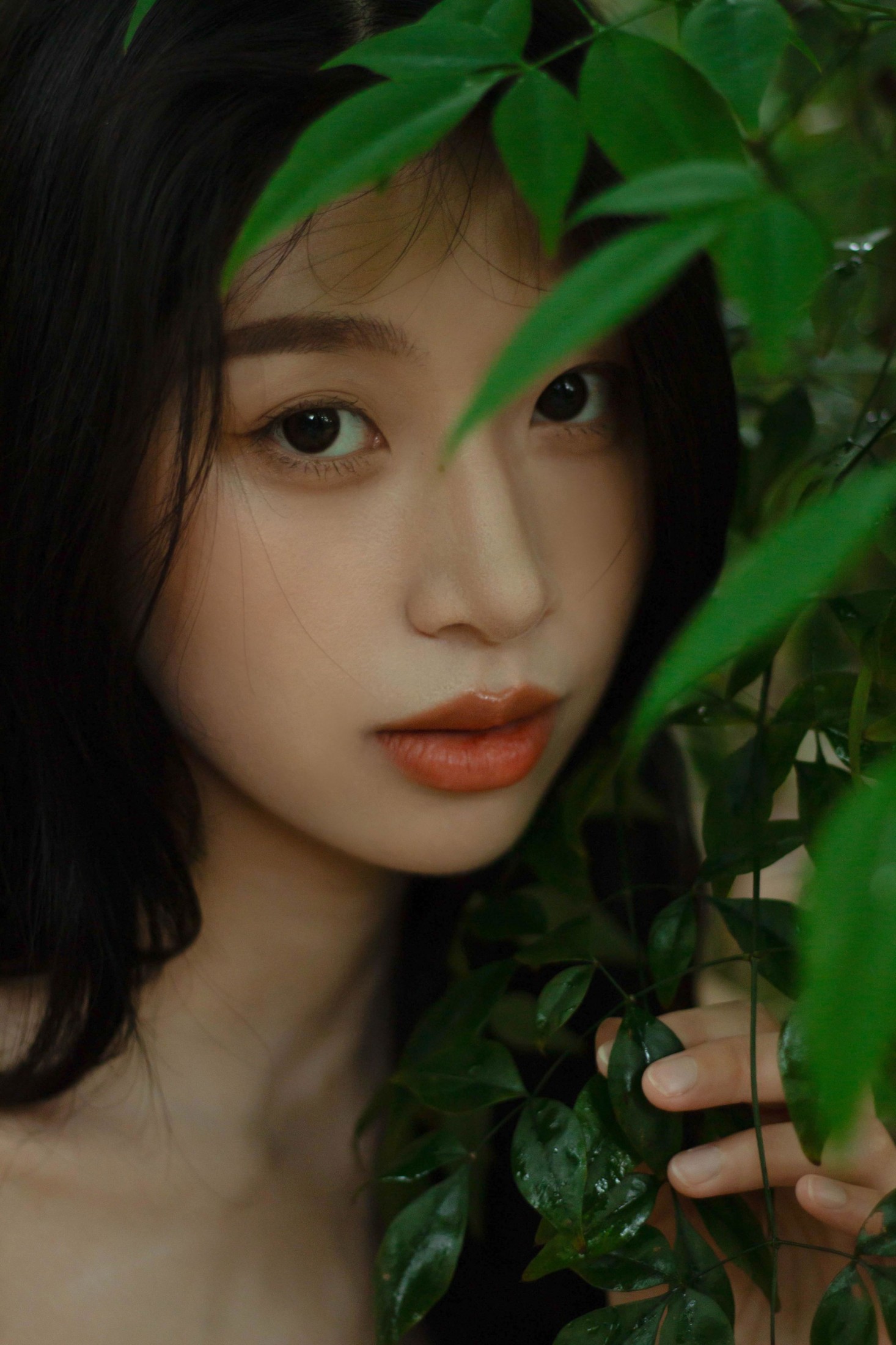 《像植物一样呼吸》[25P] 插图3