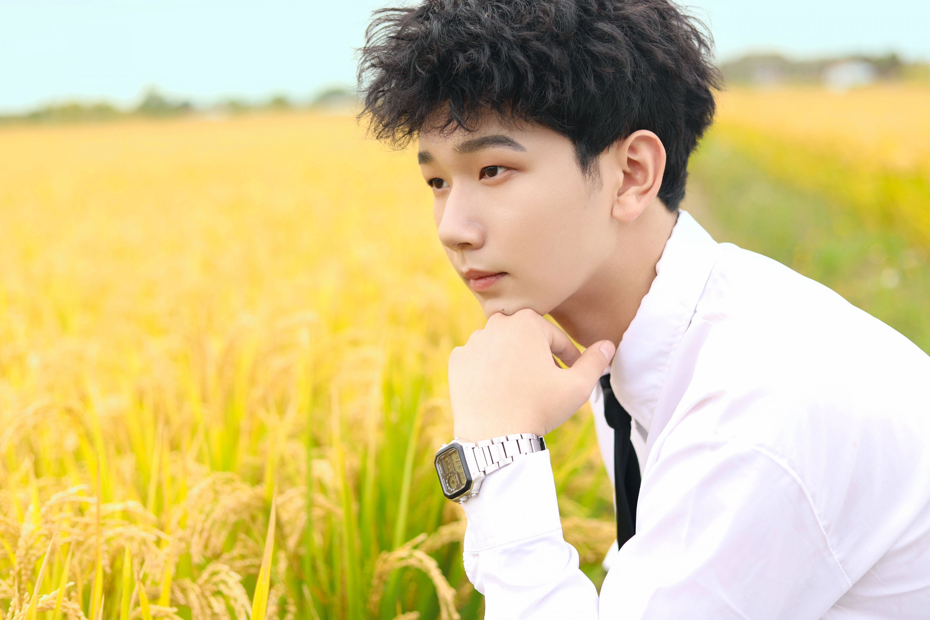 《漫步田野》[9P] 插图5