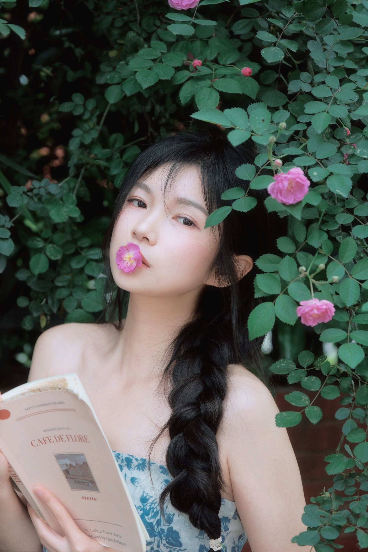 《蔷薇花开》[11P] 插图2
