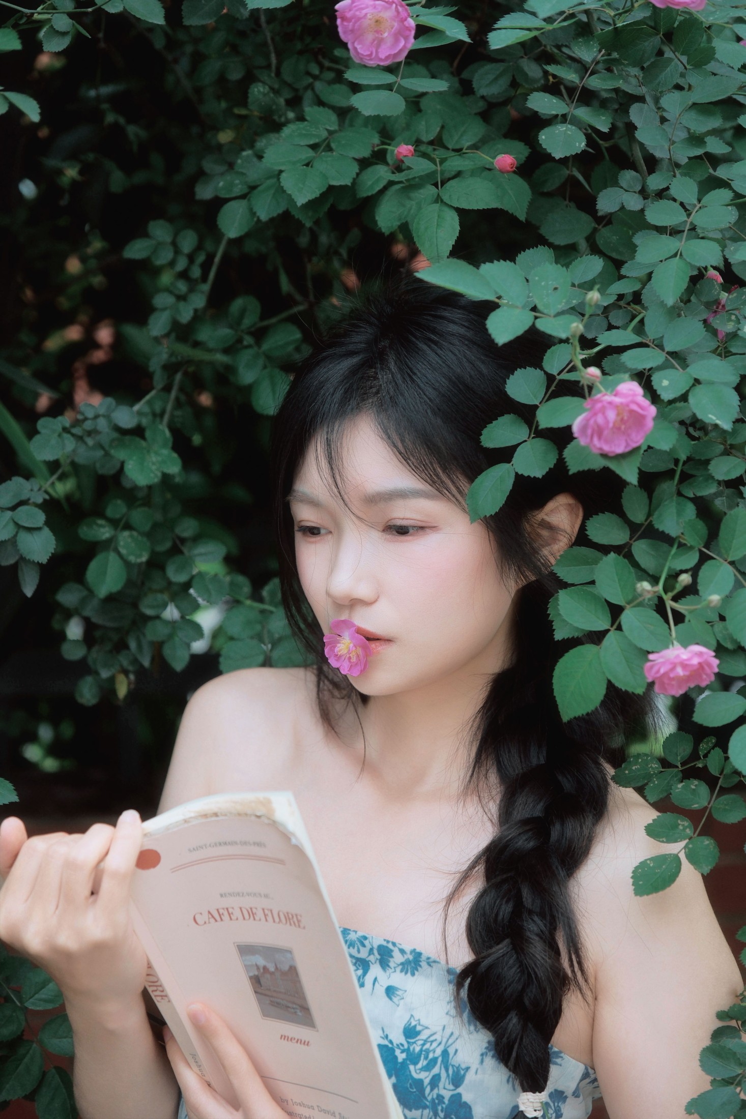 《蔷薇花开》[11P] 插图5