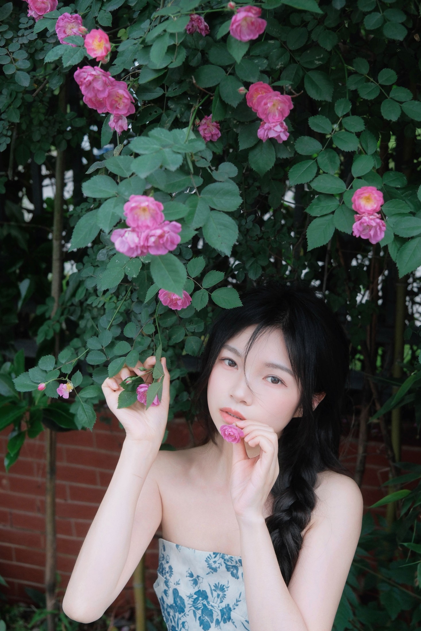 《蔷薇花开》[11P]-66COS