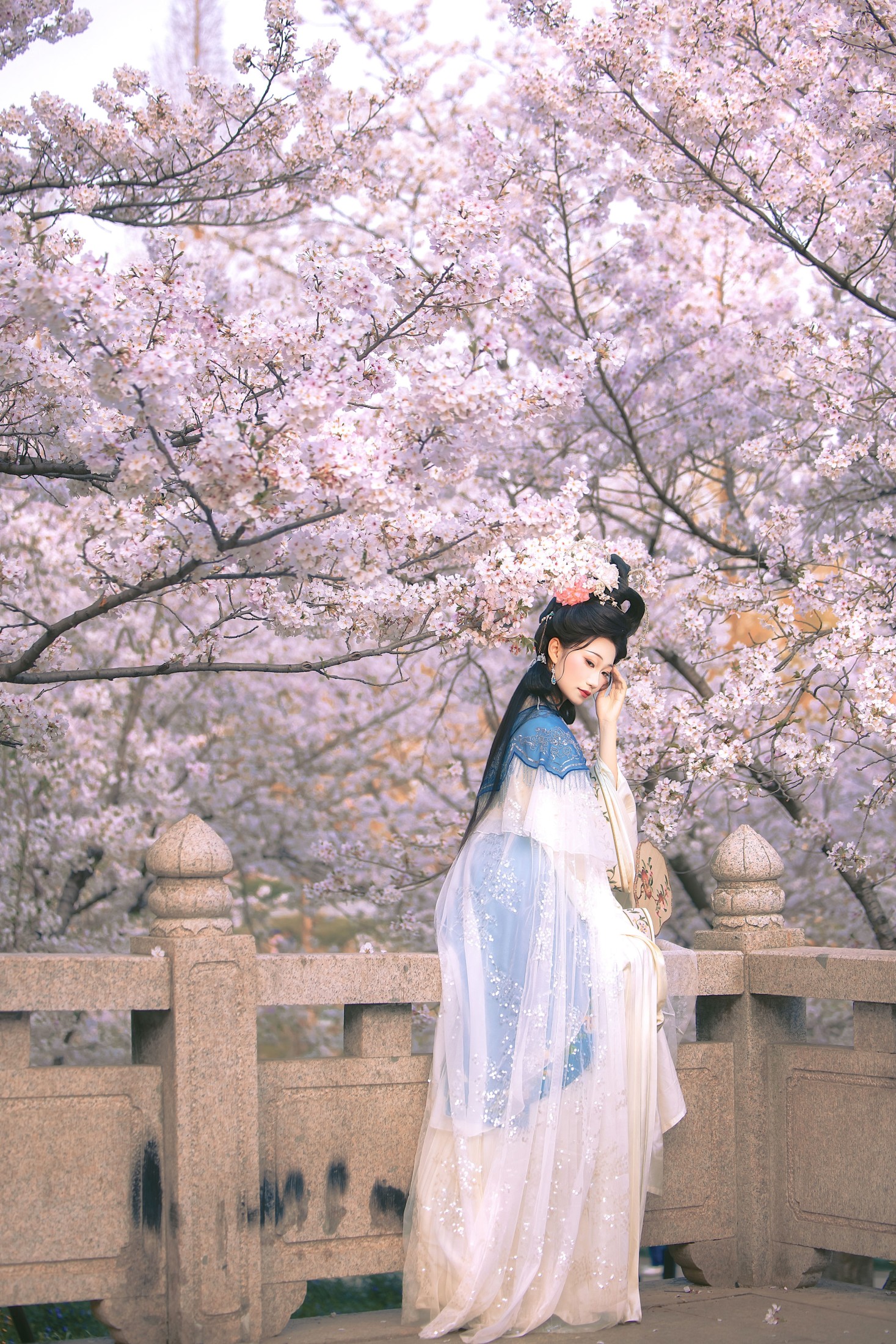 《处处山樱花压枝》[22P] 插图4