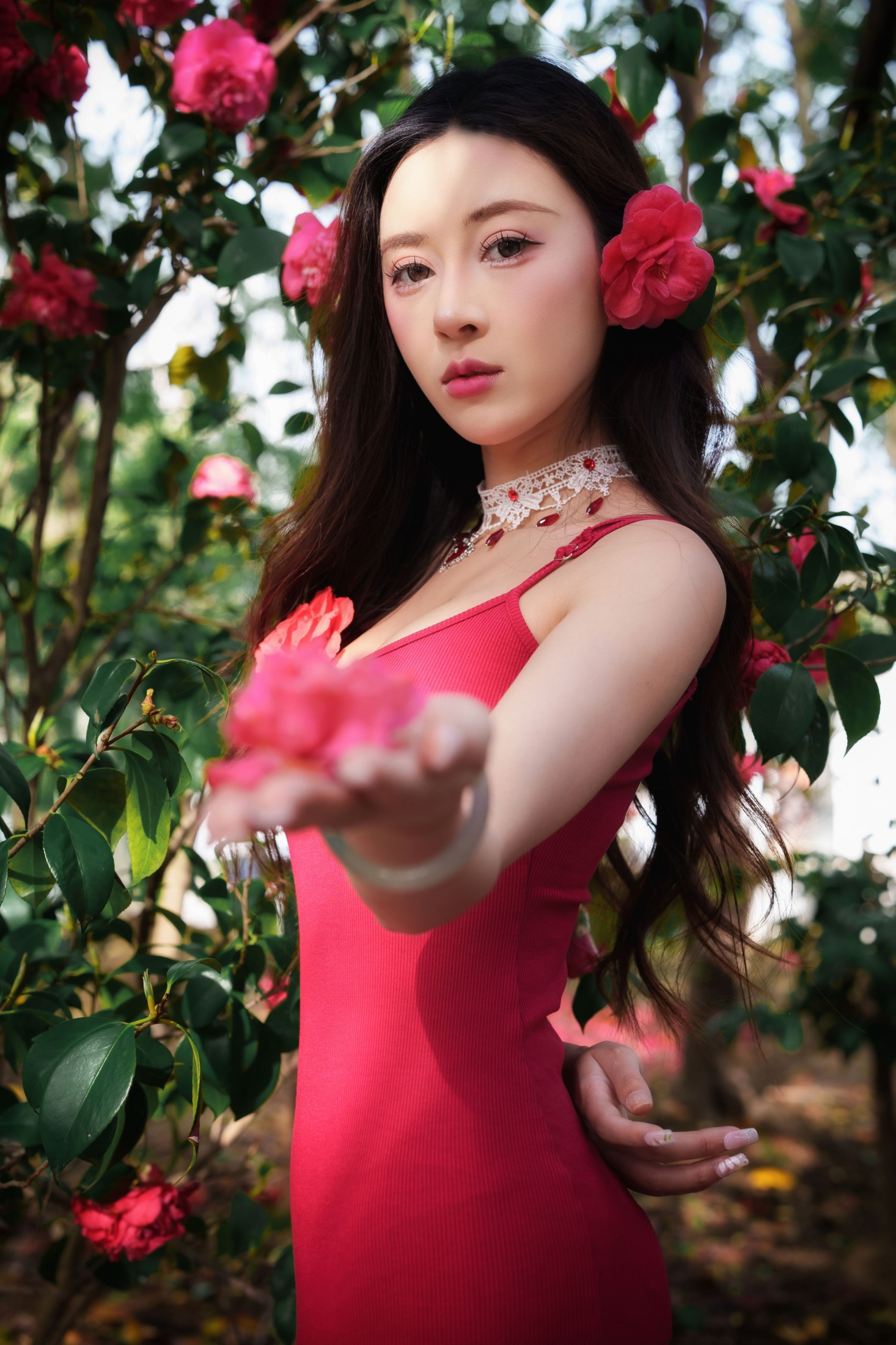 《山茶花开》[26P] 插图4