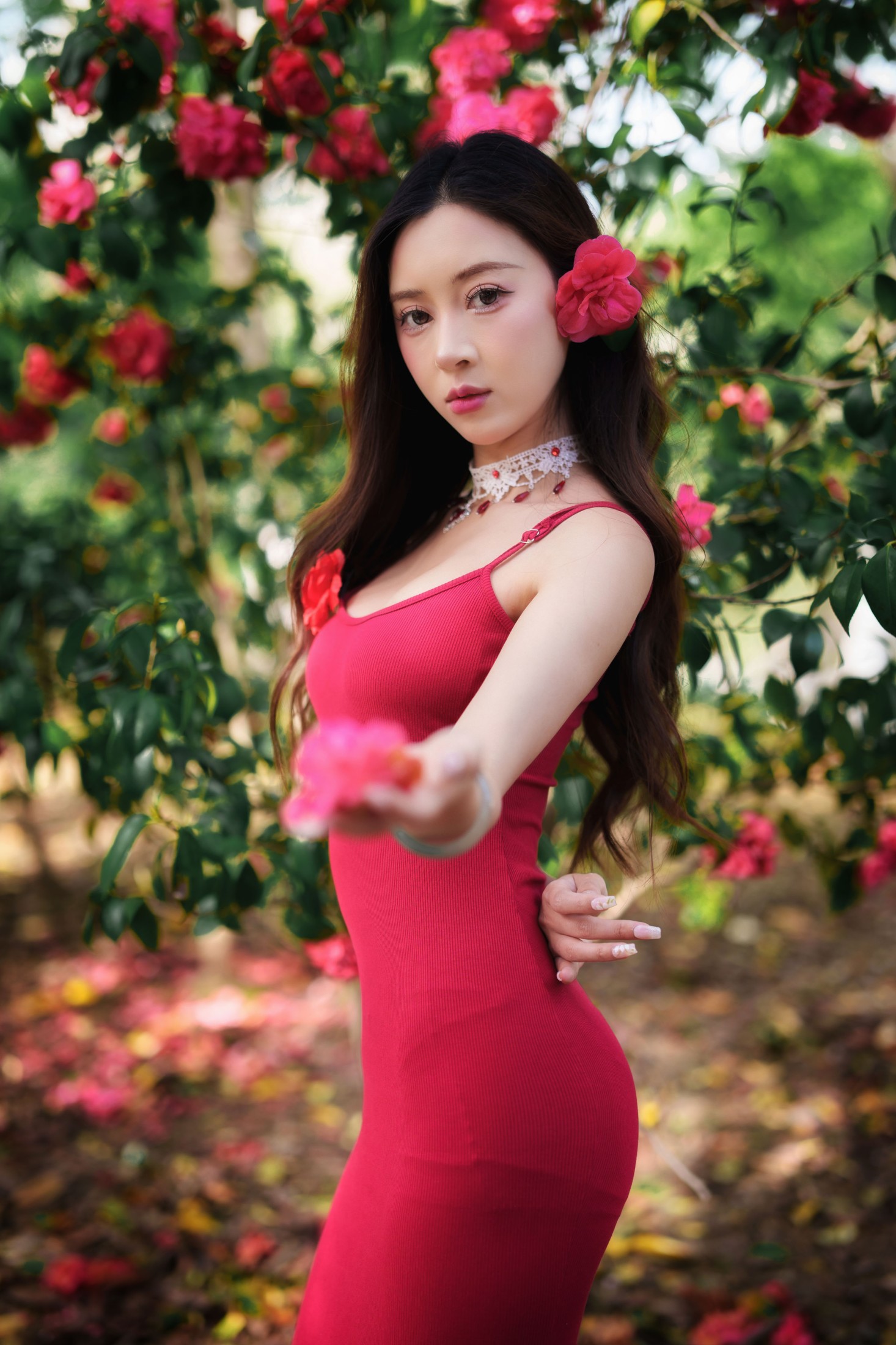 《山茶花开》[26P] 插图5