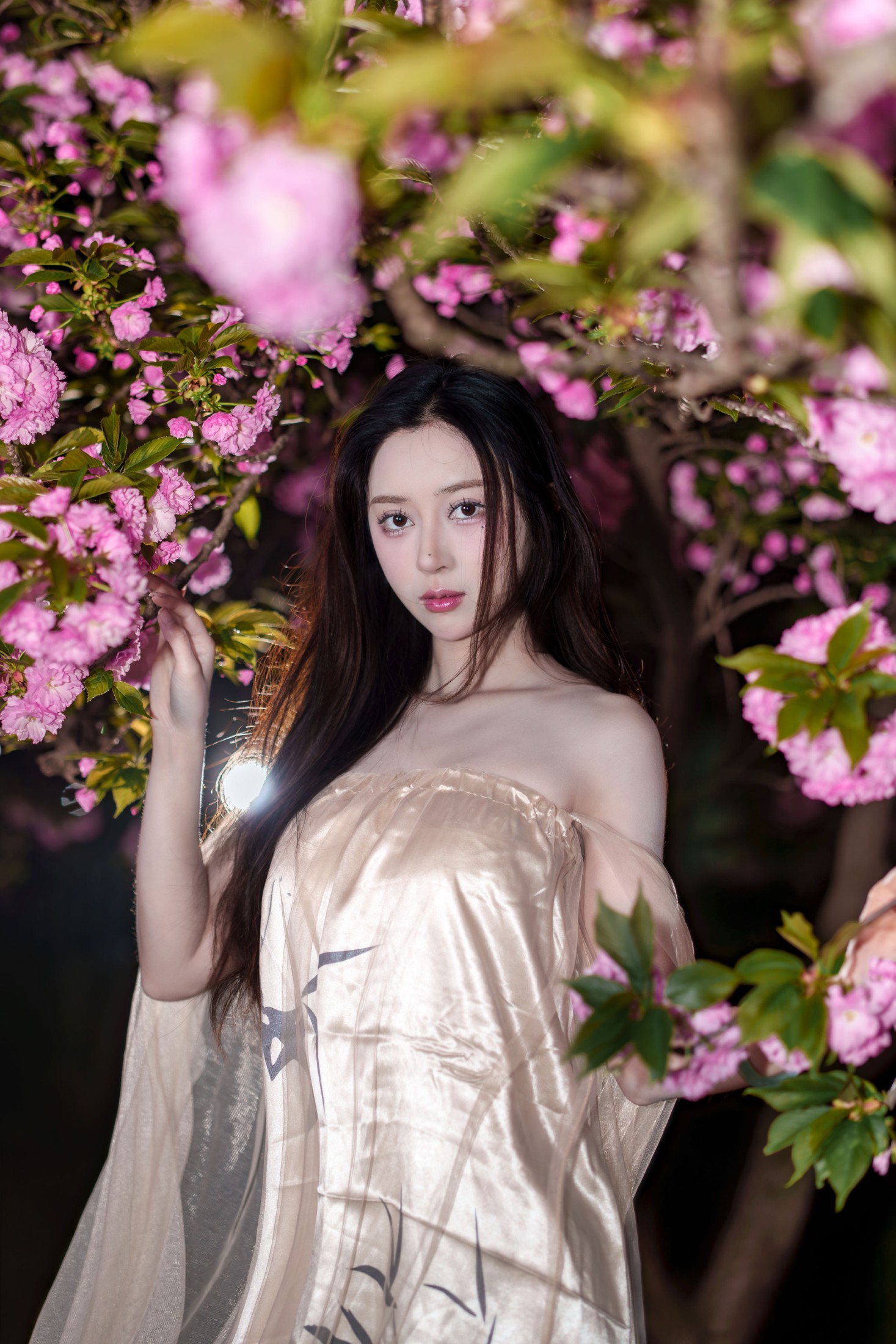 《夜海棠》[15P] 插图2