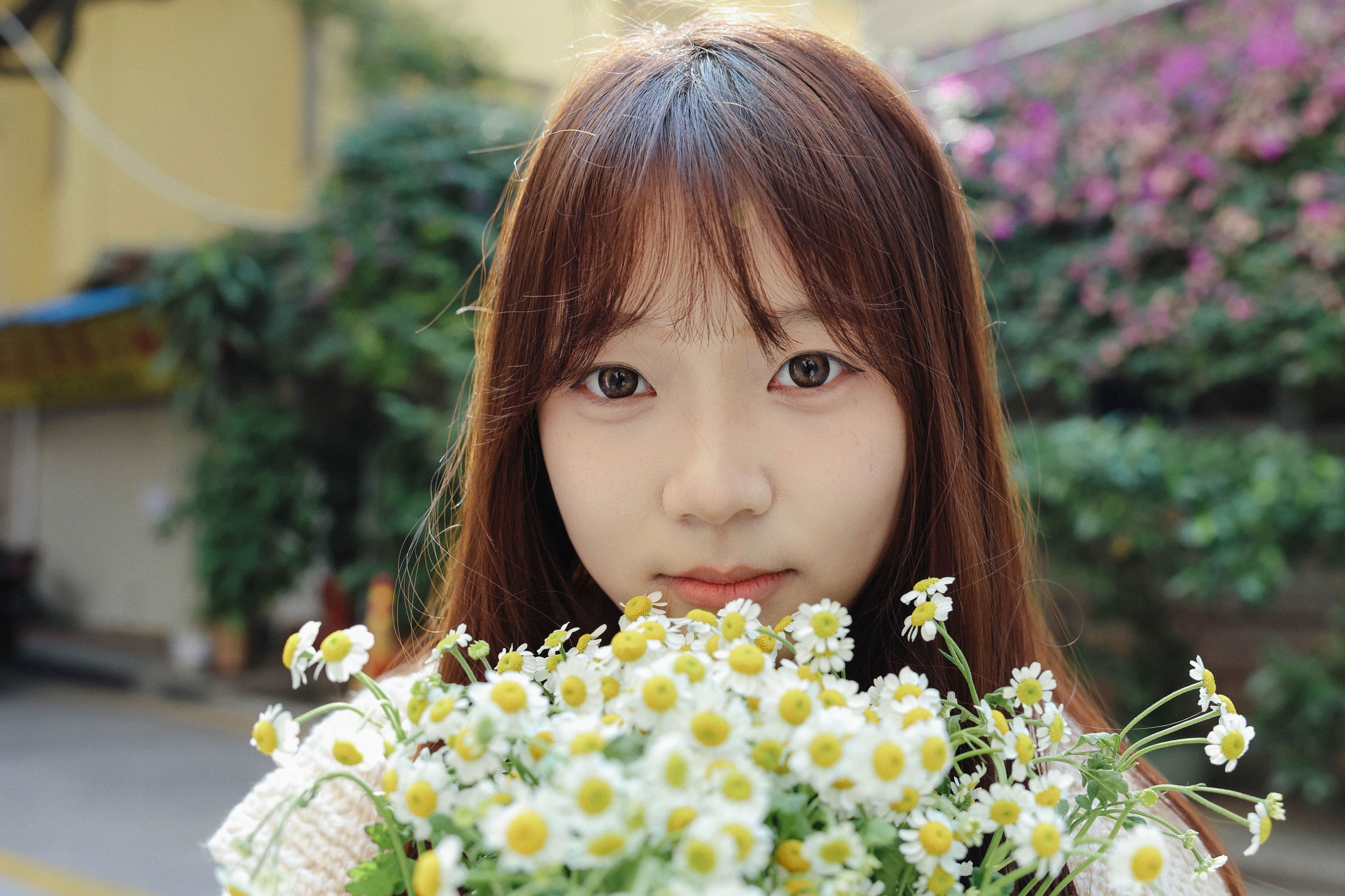 《雏菊少女》[24P] 插图2