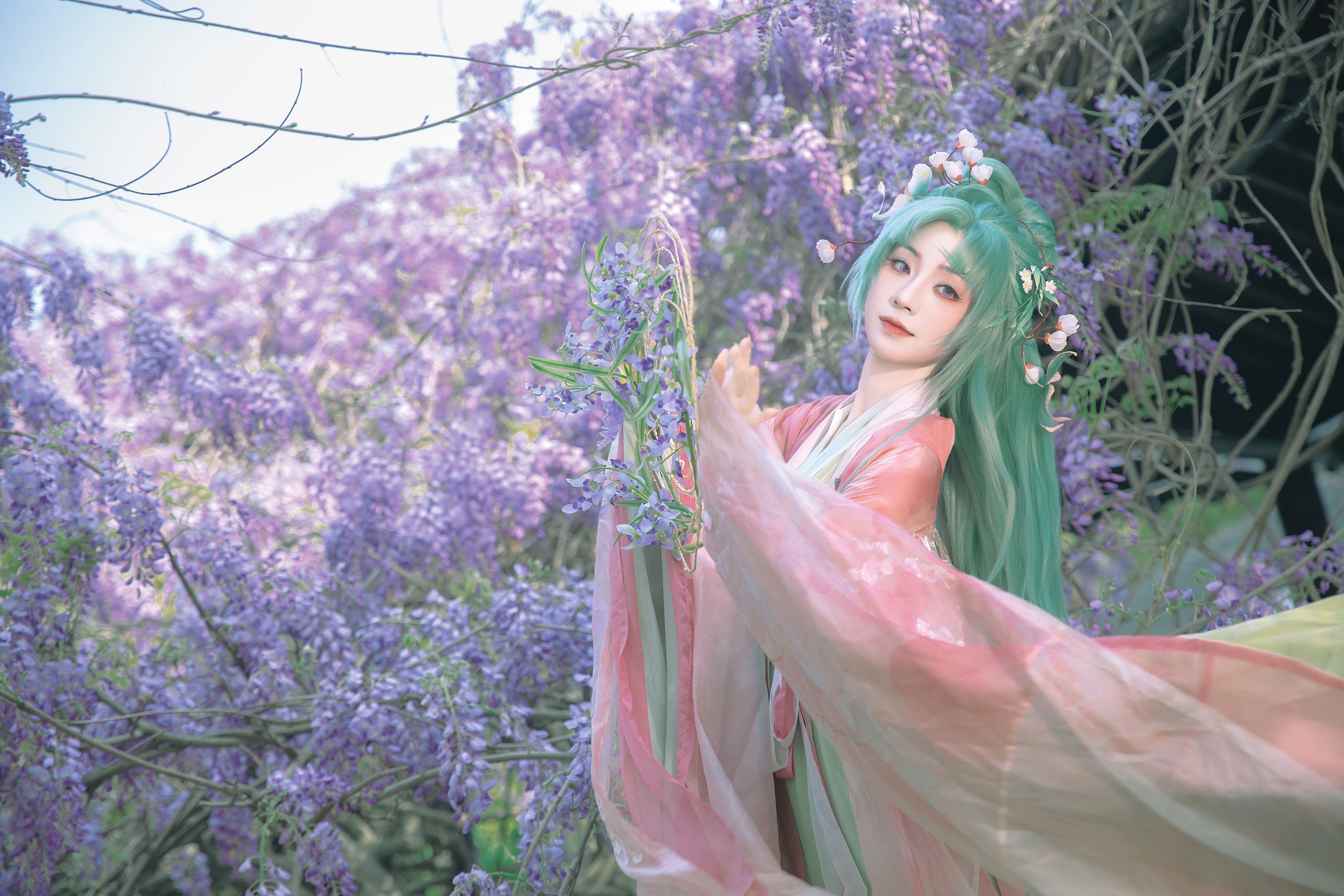 《紫藤·春神》[18P]-66COS
