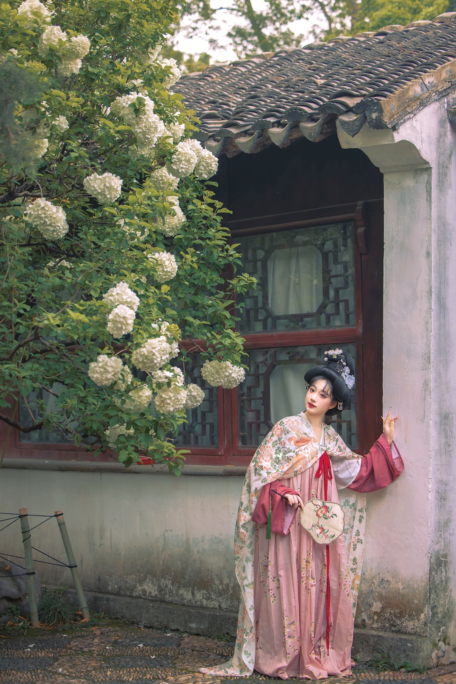 《唐复原·木绣球》[11P]-66COS