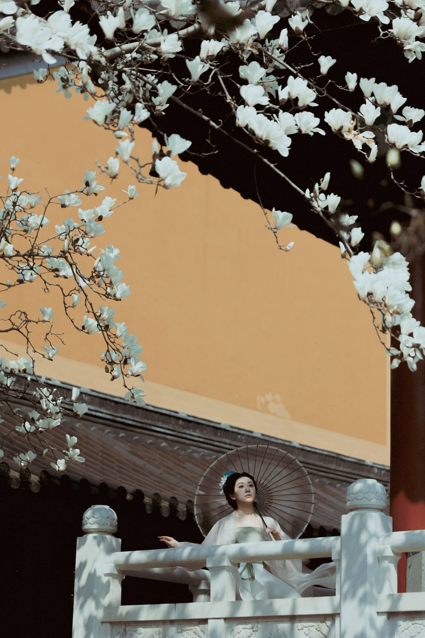《古寺玉兰》[39P] 插图3