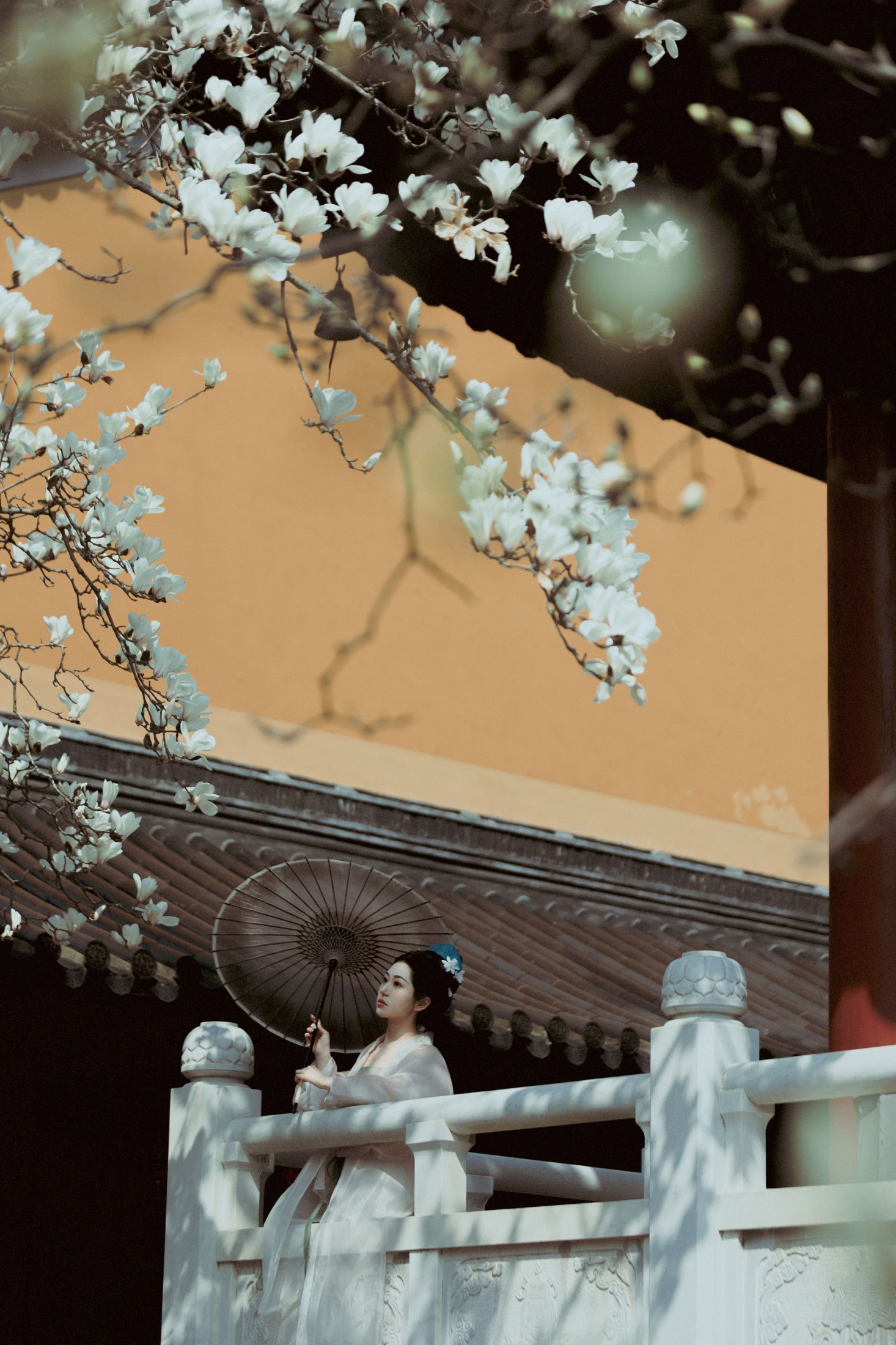 《古寺玉兰》[39P]-66COS