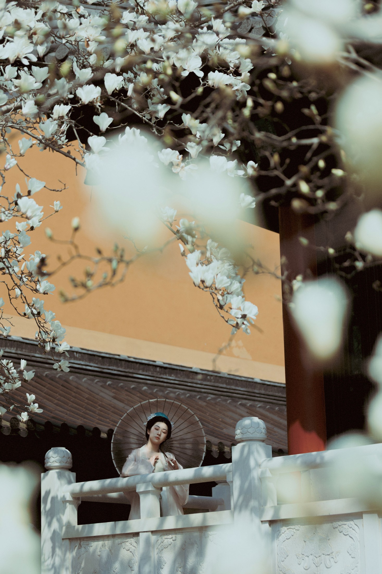 《古寺玉兰》[39P] 插图4