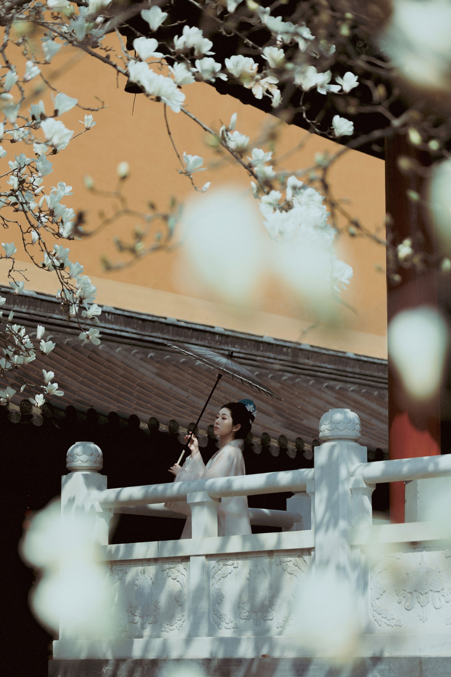 《古寺玉兰》[39P] 插图5