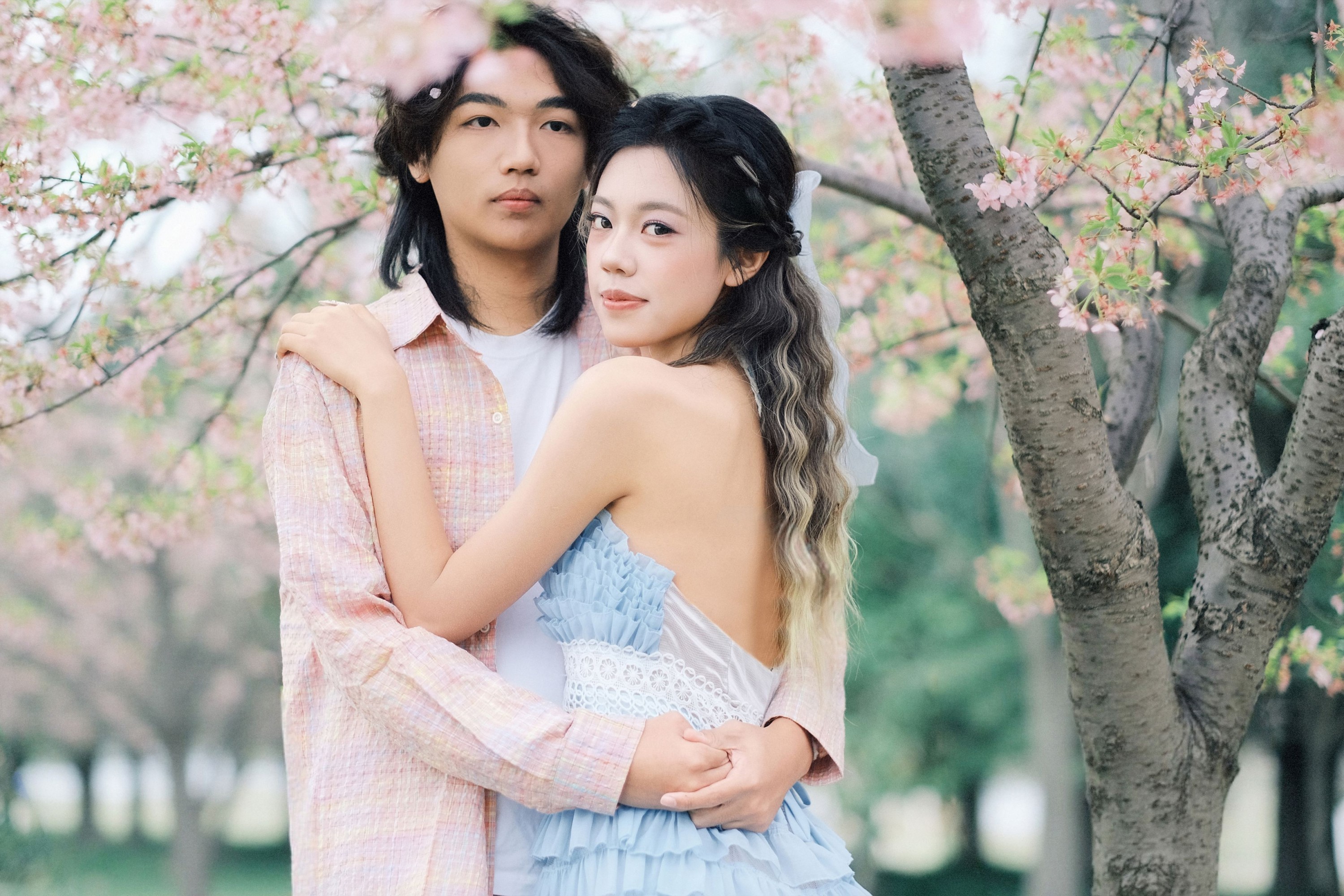 《就在樱花树下见面吧》[19P] 插图4