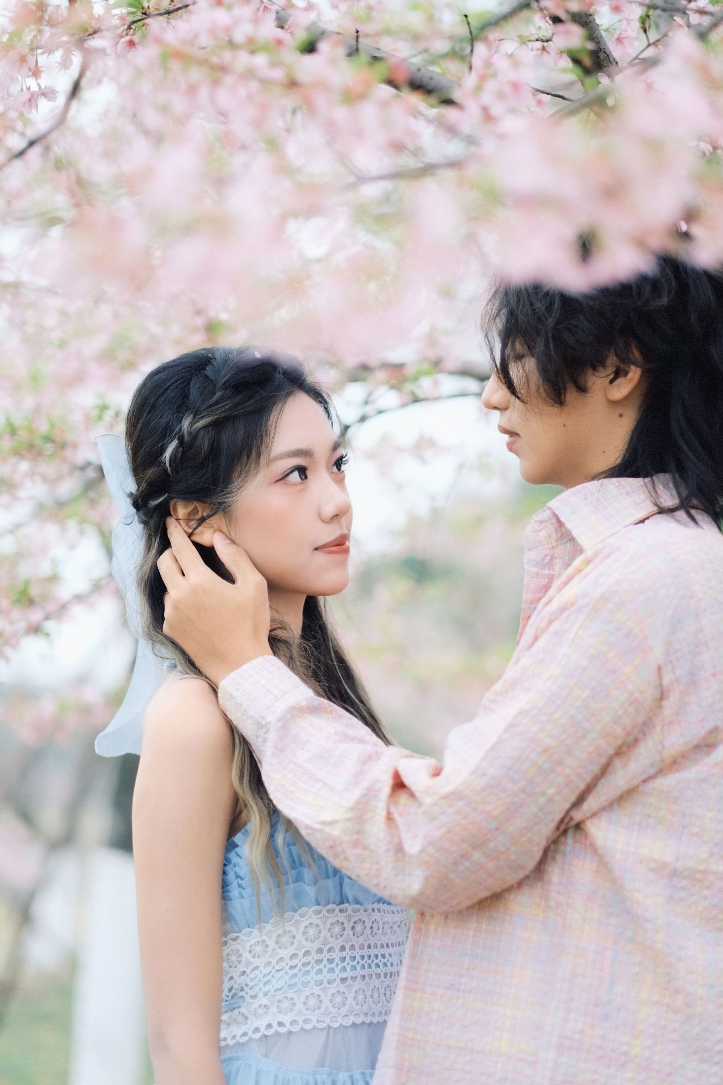 《就在樱花树下见面吧》[19P]-66COS