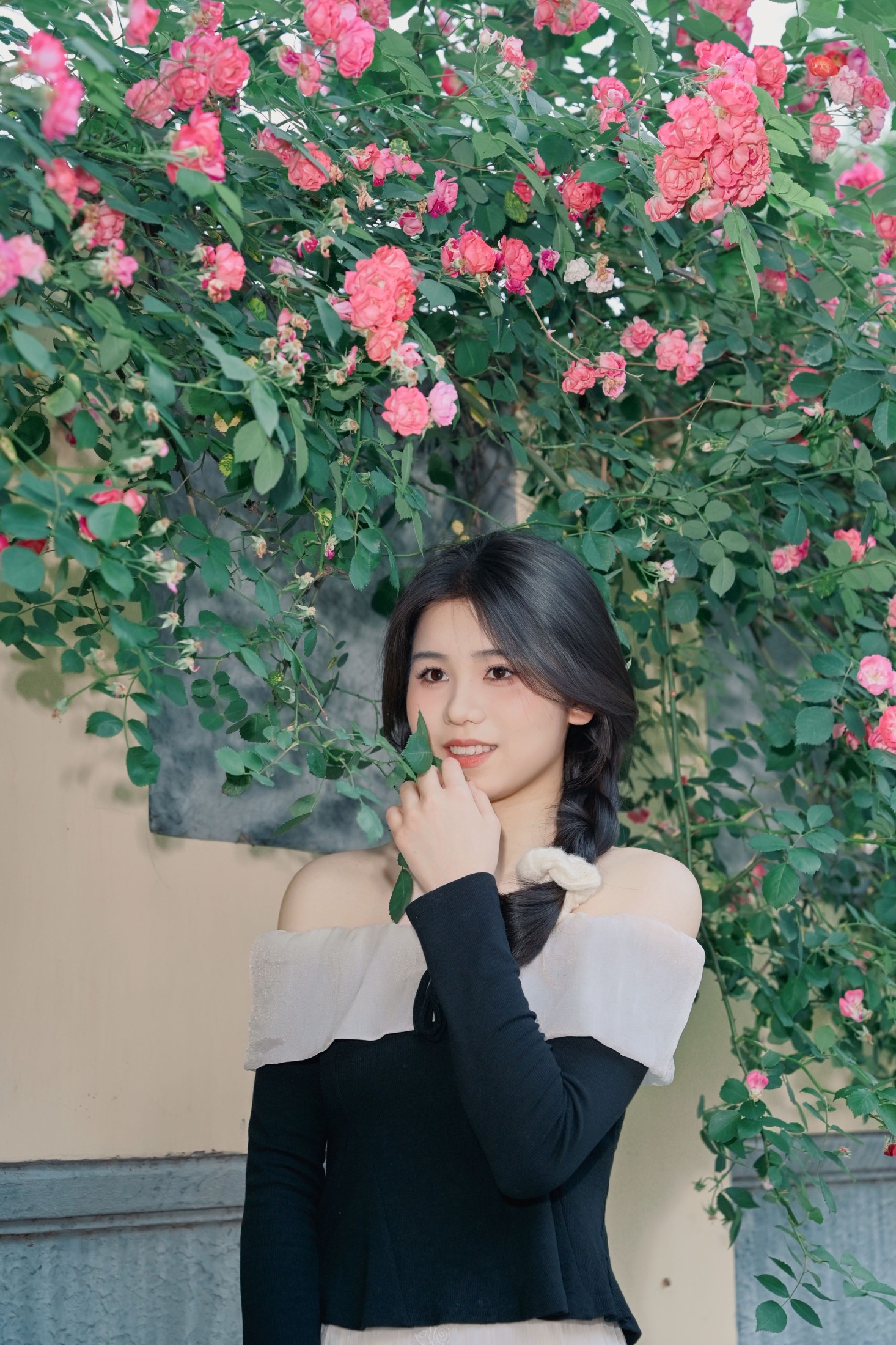 《蔷薇花的花语是什么？》[10P] 插图2