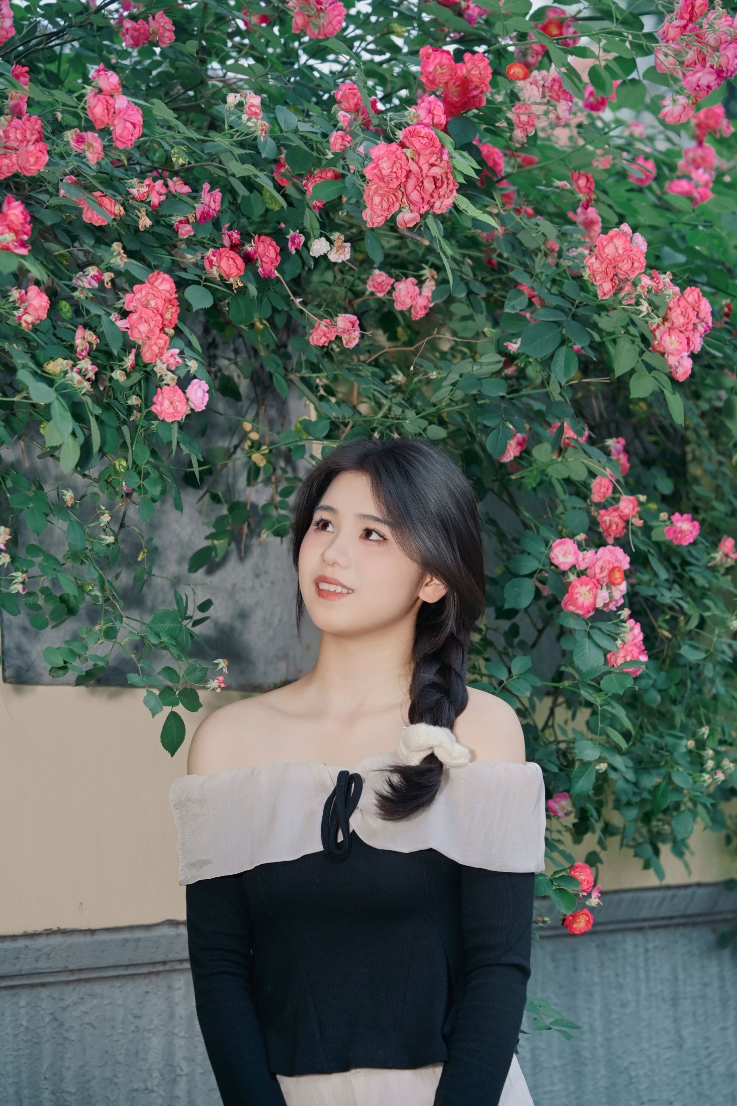 《蔷薇花的花语是什么？》[10P] 插图4