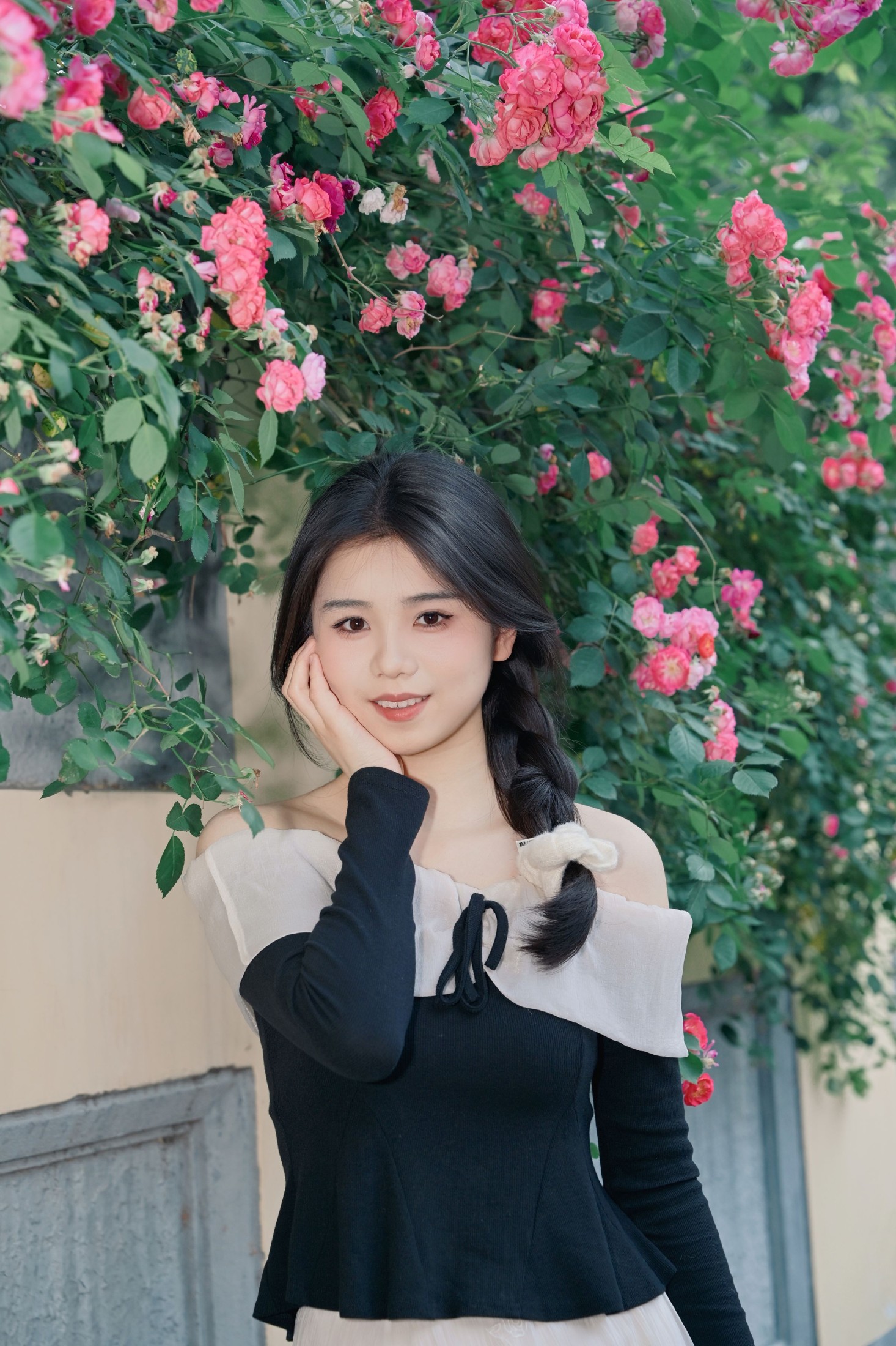 《蔷薇花的花语是什么？》[10P]-66COS